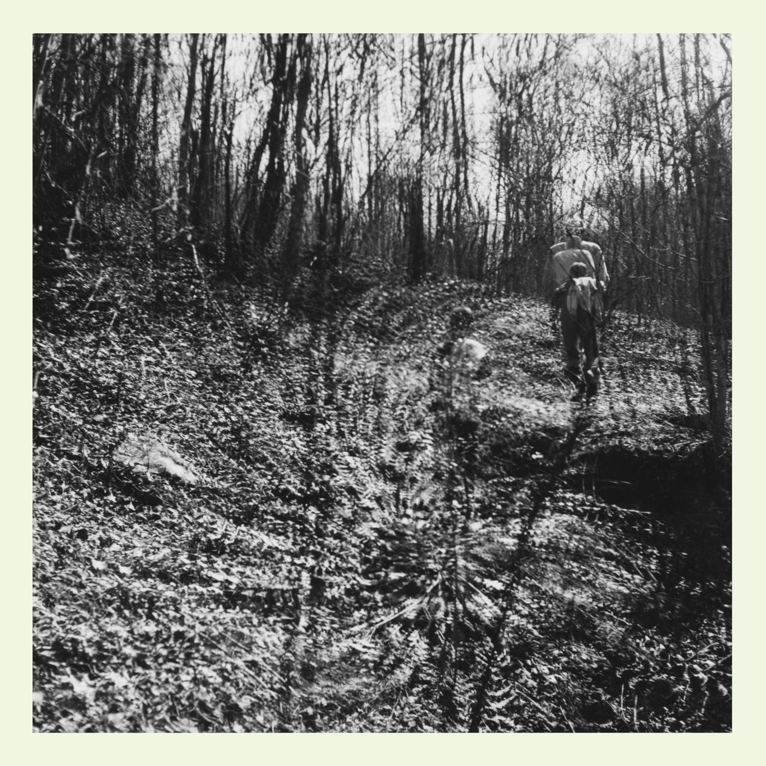 Interior Spring [VINYL]