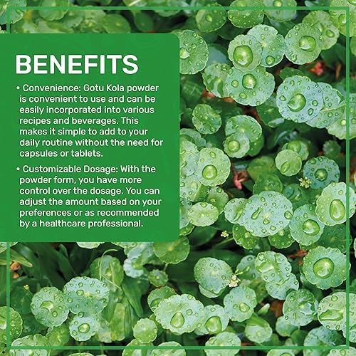 Miniatura 4 de Jiva Organics Gotu Kola Powder (Centella Asiatica) 7 onzas (7.05 oz) - Crudo, vegano, sin OMG