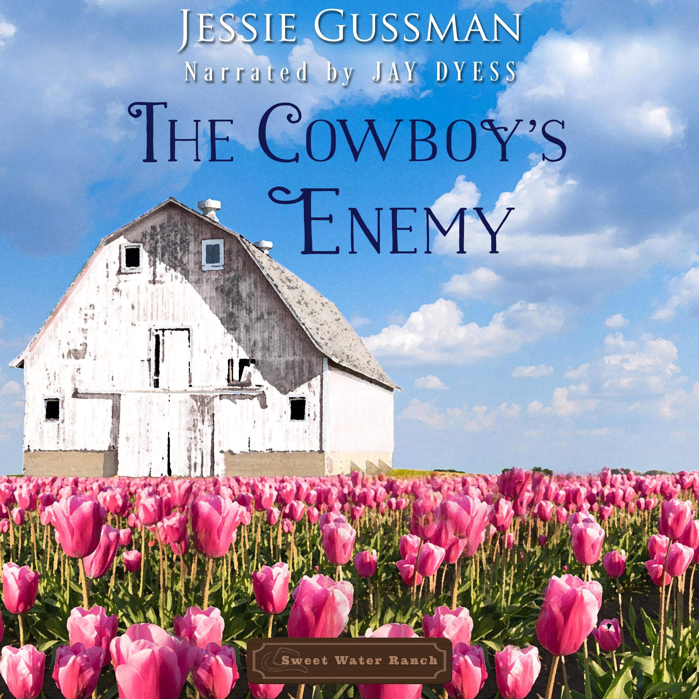 Cover art for The Cowboy's Enemy
