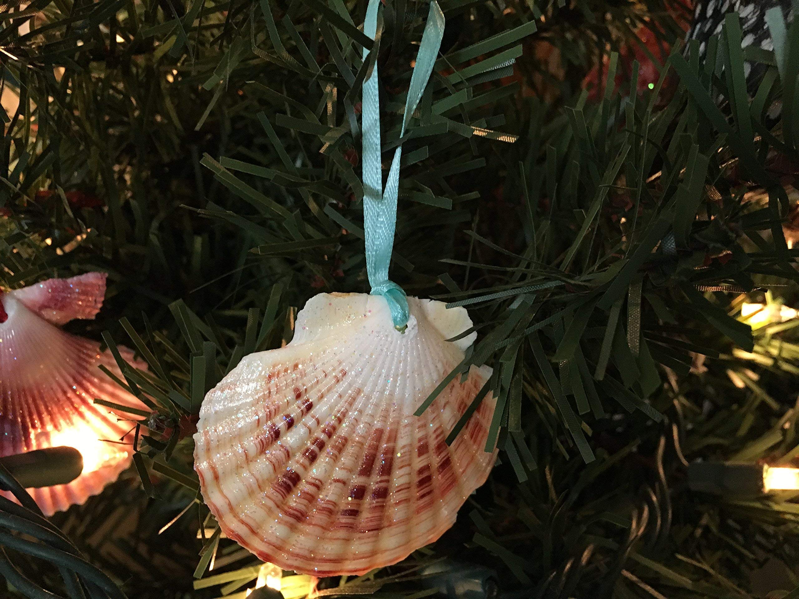 Glitter Seashell Beach Christmas Ornaments with Turquoise Ribbon, Small, Pack of 10