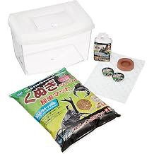 Insectland KS-13 Beetles and Stag Bugs Easy Breeding Set