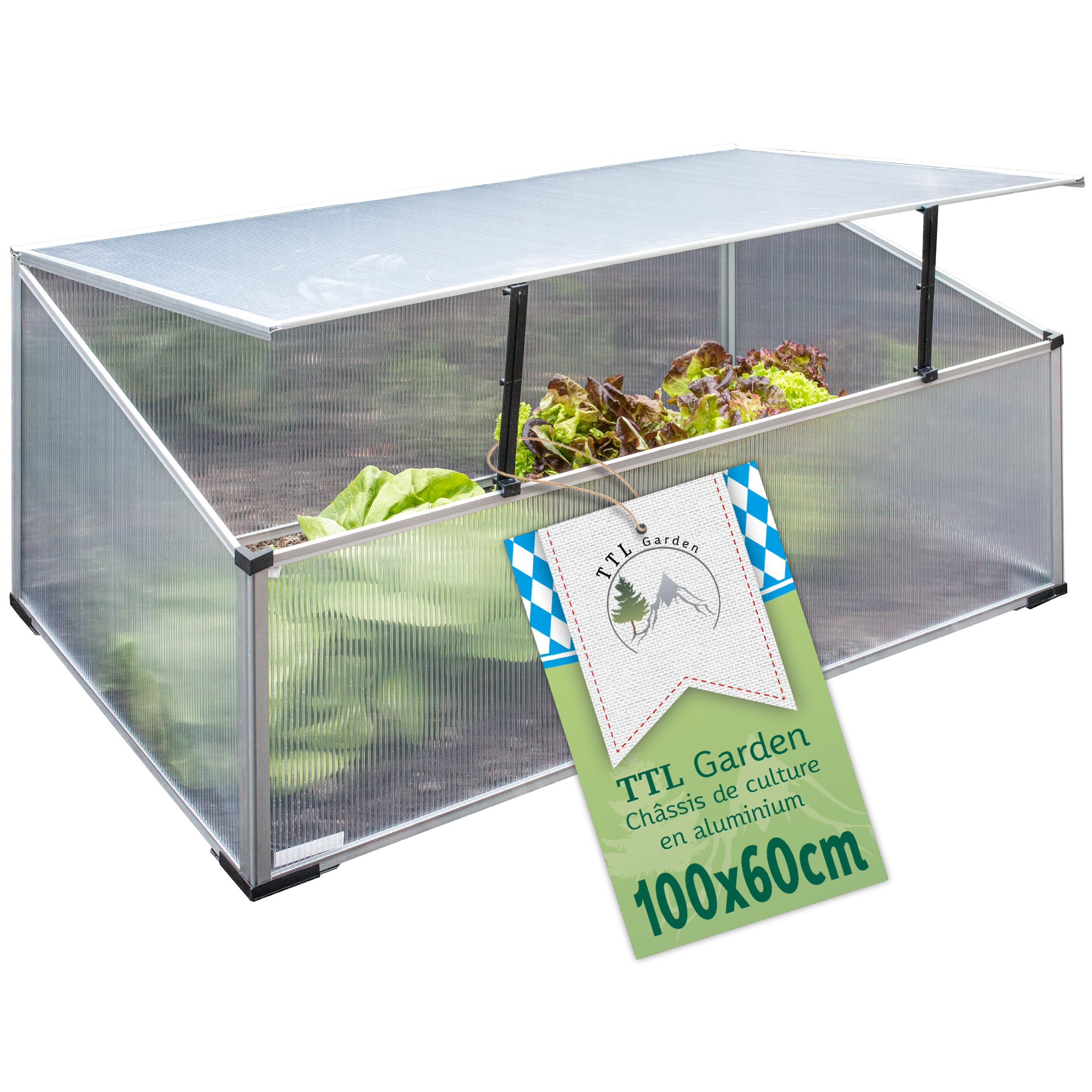TTL Garden Jardinière en aluminium 40 x 100 x 60 cm – Serre pour plantes, plantation pour légumes, herbes et fleurs, culture et conditions de croissance optimales même en hiver