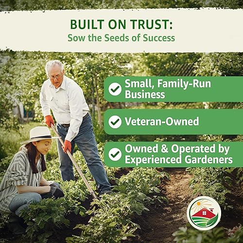 Miniatura 3 de TKE Farms - Semillas de perejil italiano de hoja plana para plantar, 0.04oz  600 semillas, petroselino crujiente