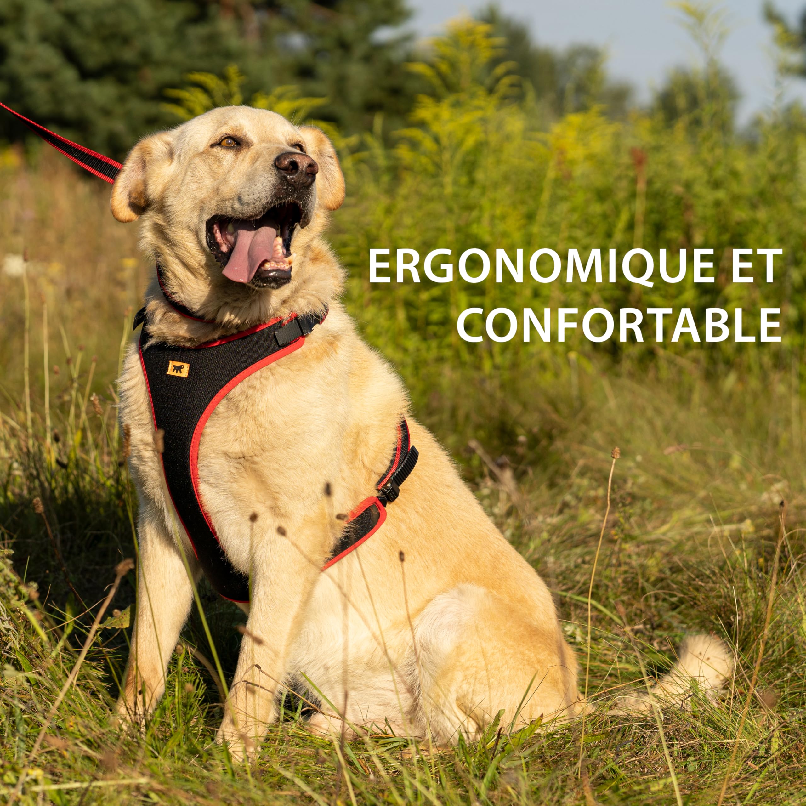 Ferplast Harnais pour Petit Chien ERGOCOMFORT, réglable, Confortable et rembourré, avec système d'attache et de détachement Rapide, Taille XS, Poids Max. 15 kg, Rouge.