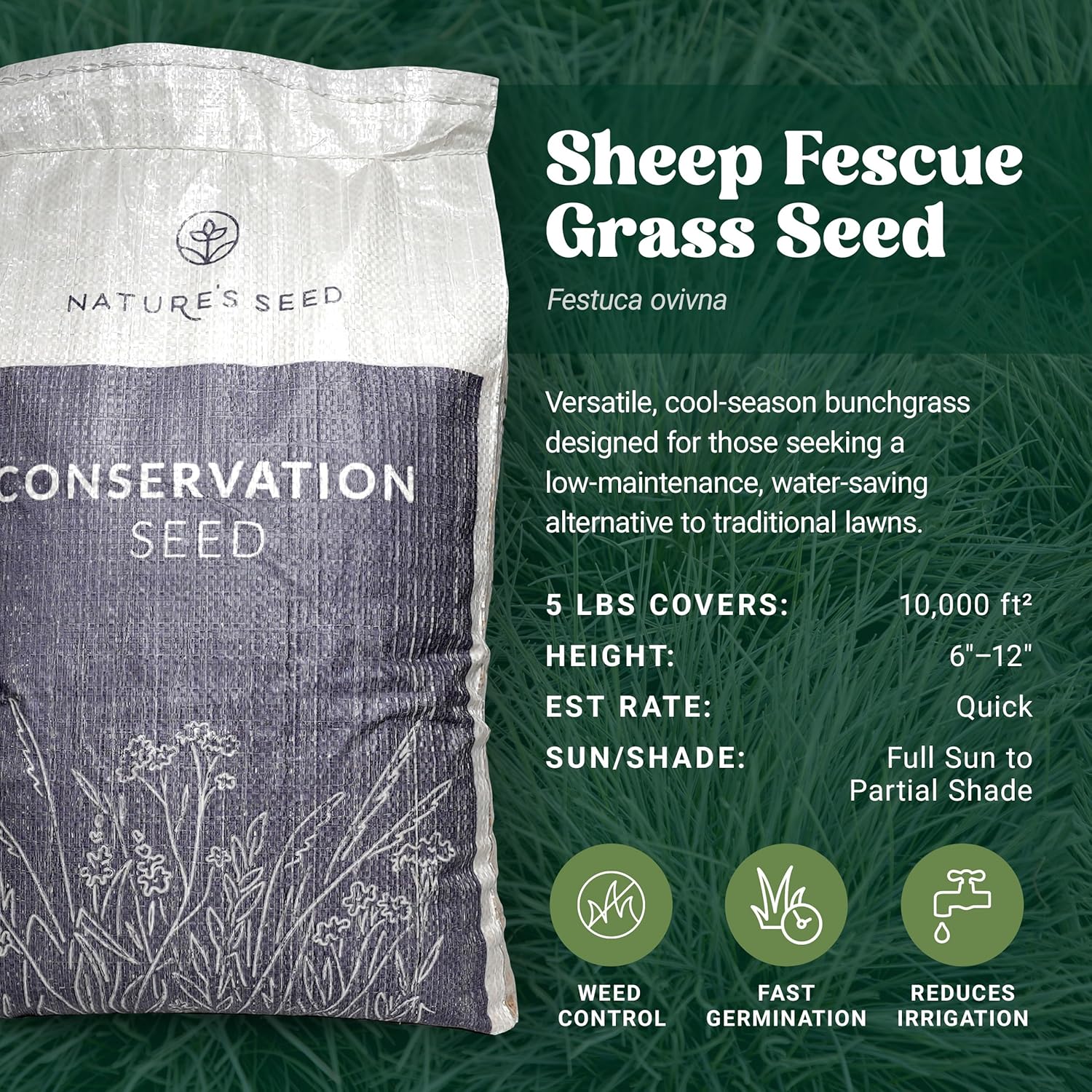Nature’s Seed Sheep Fescue Grass Seed, Drought Tolerant, for Garden, Lawn, Yard, 5 Lbs