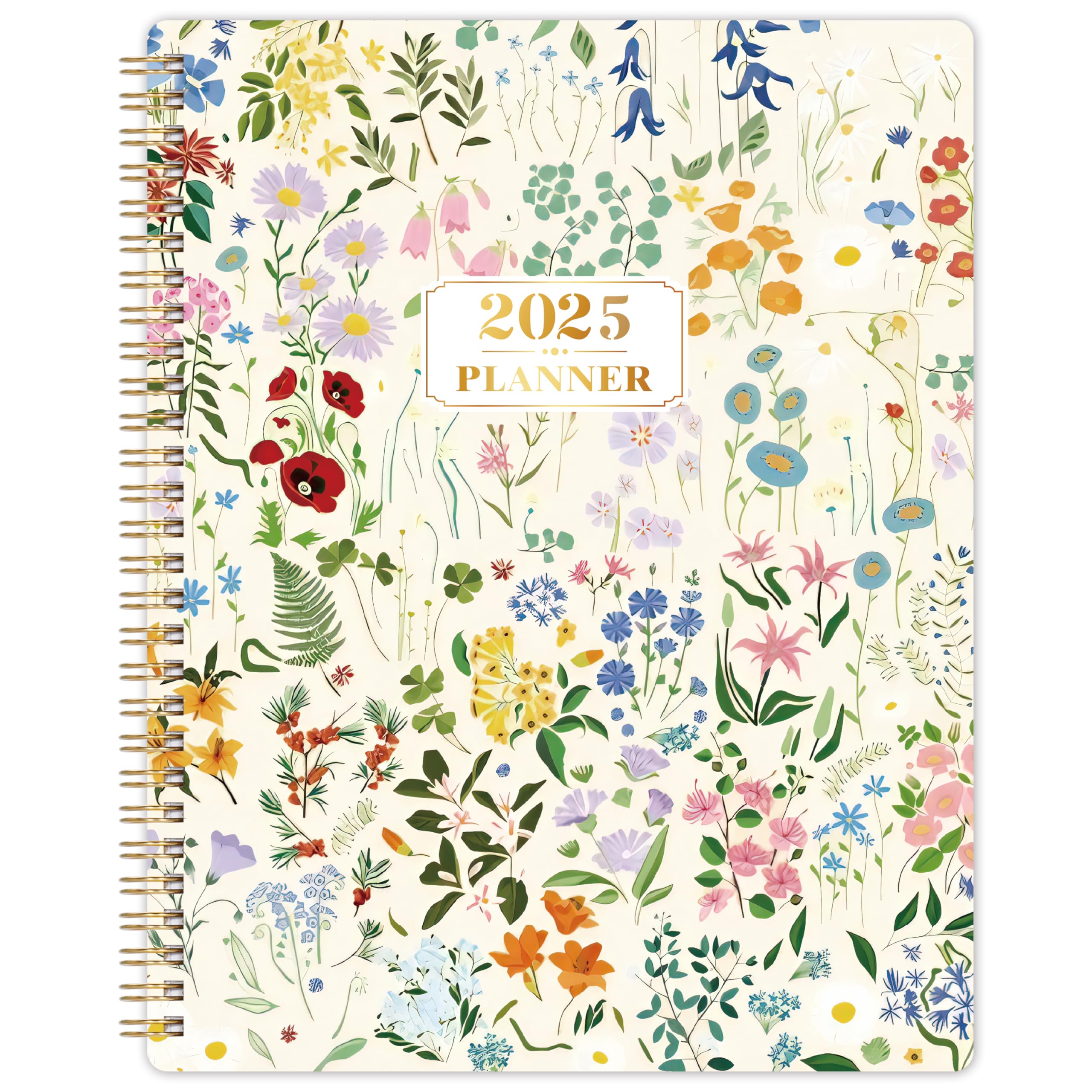 2025 Planner - 2025 Planner Weekly and Monthly from January to December 2025, 8" x 10", 2025 Calendar Monthly Planner with Reference Calendar