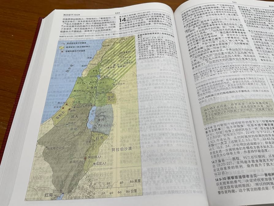 经文 聖經．新普及譯本漢語拼音版．藍色仿皮面銀邊．繁體- 漢語聖經協會