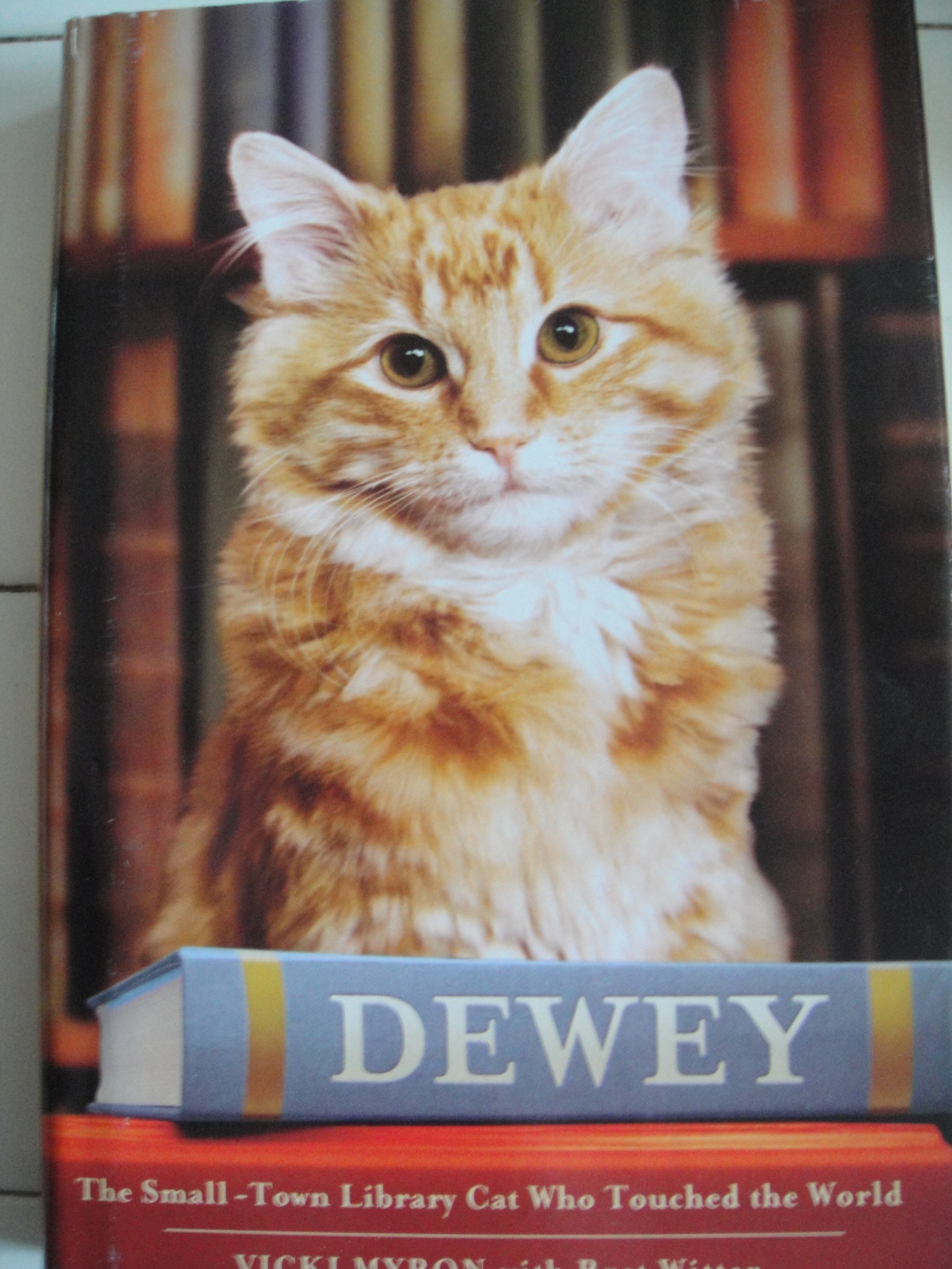 Dewey: The Small-Town Library Cat Who Touched the World