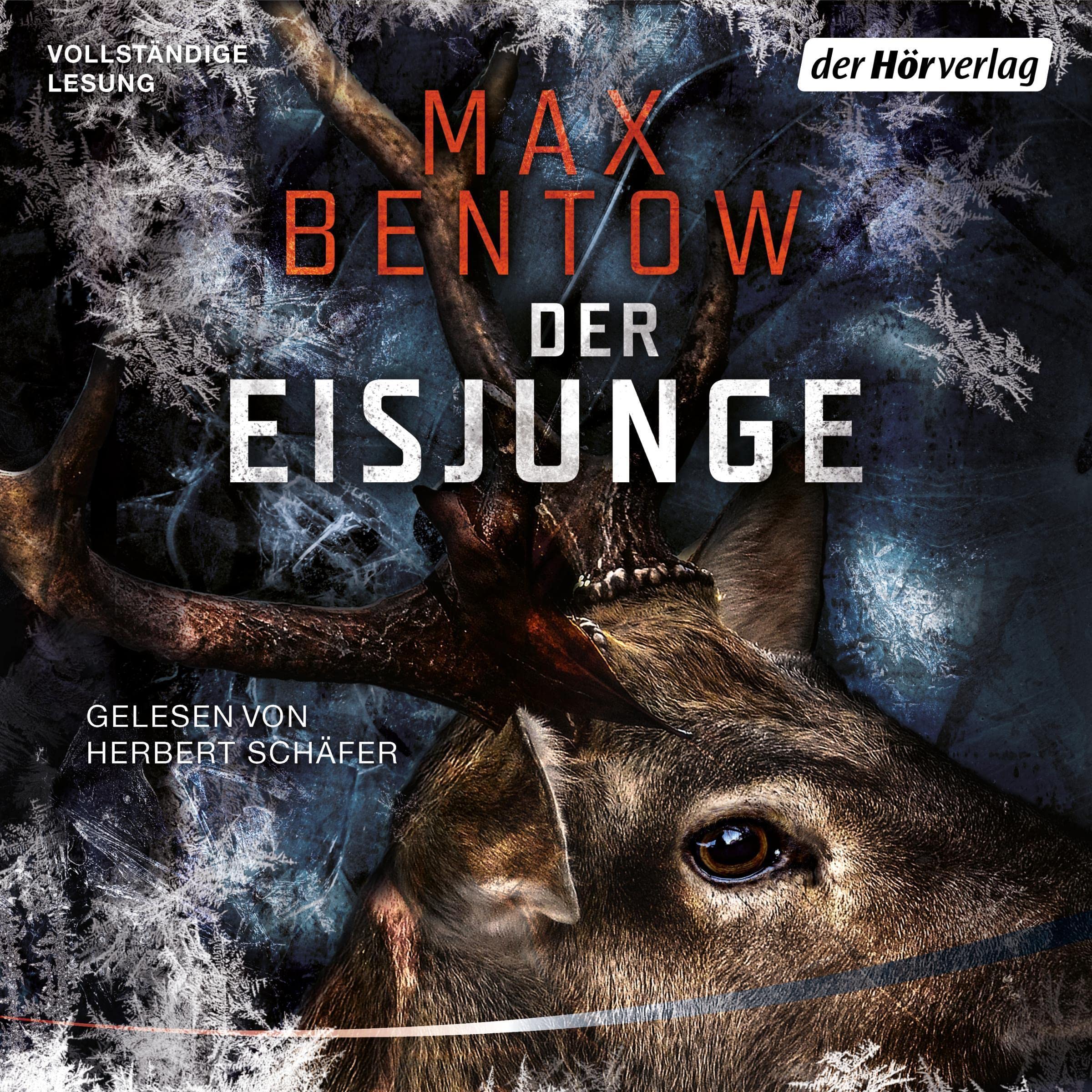 Cover art for Der Eisjunge