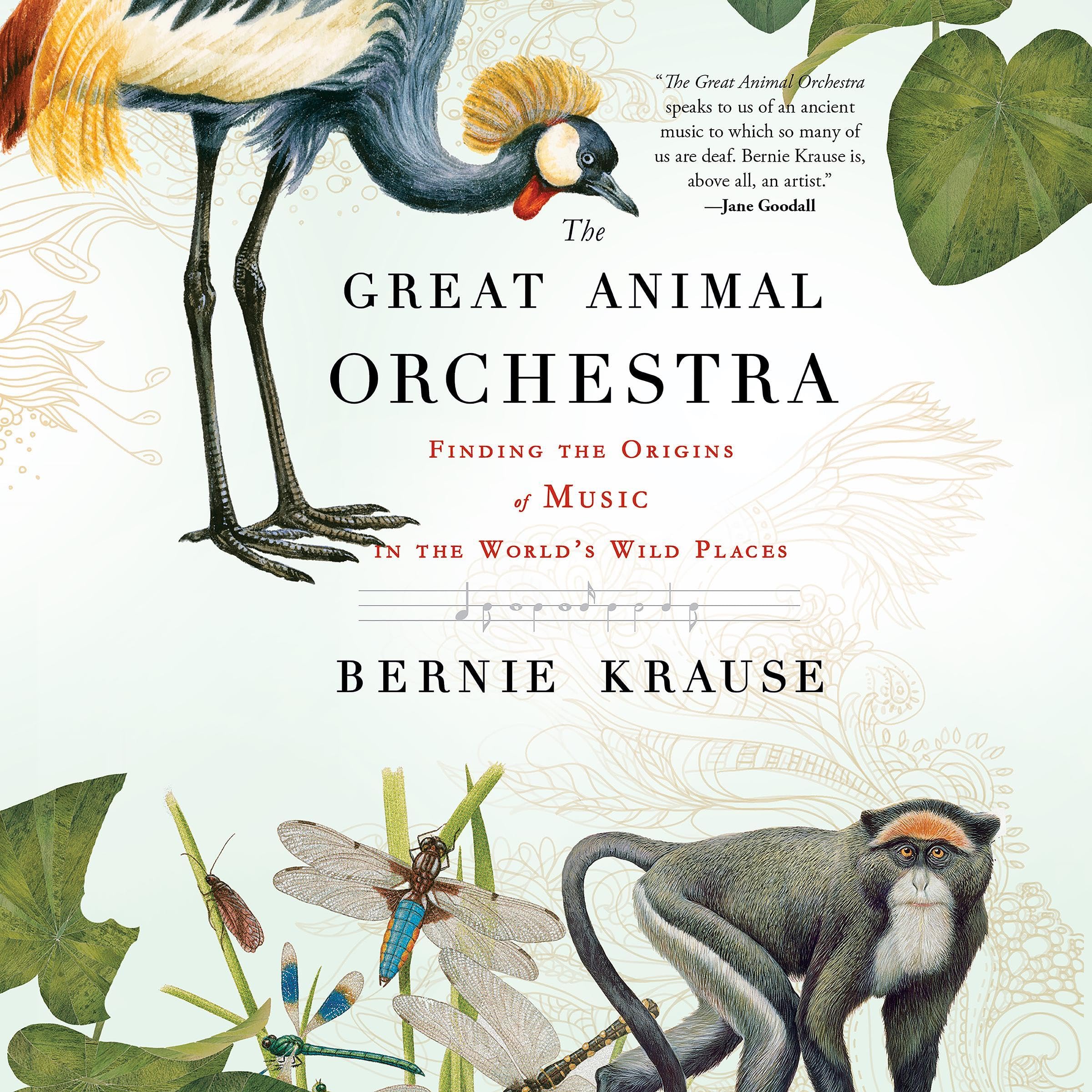 Cover art for The Great Animal Orchestra