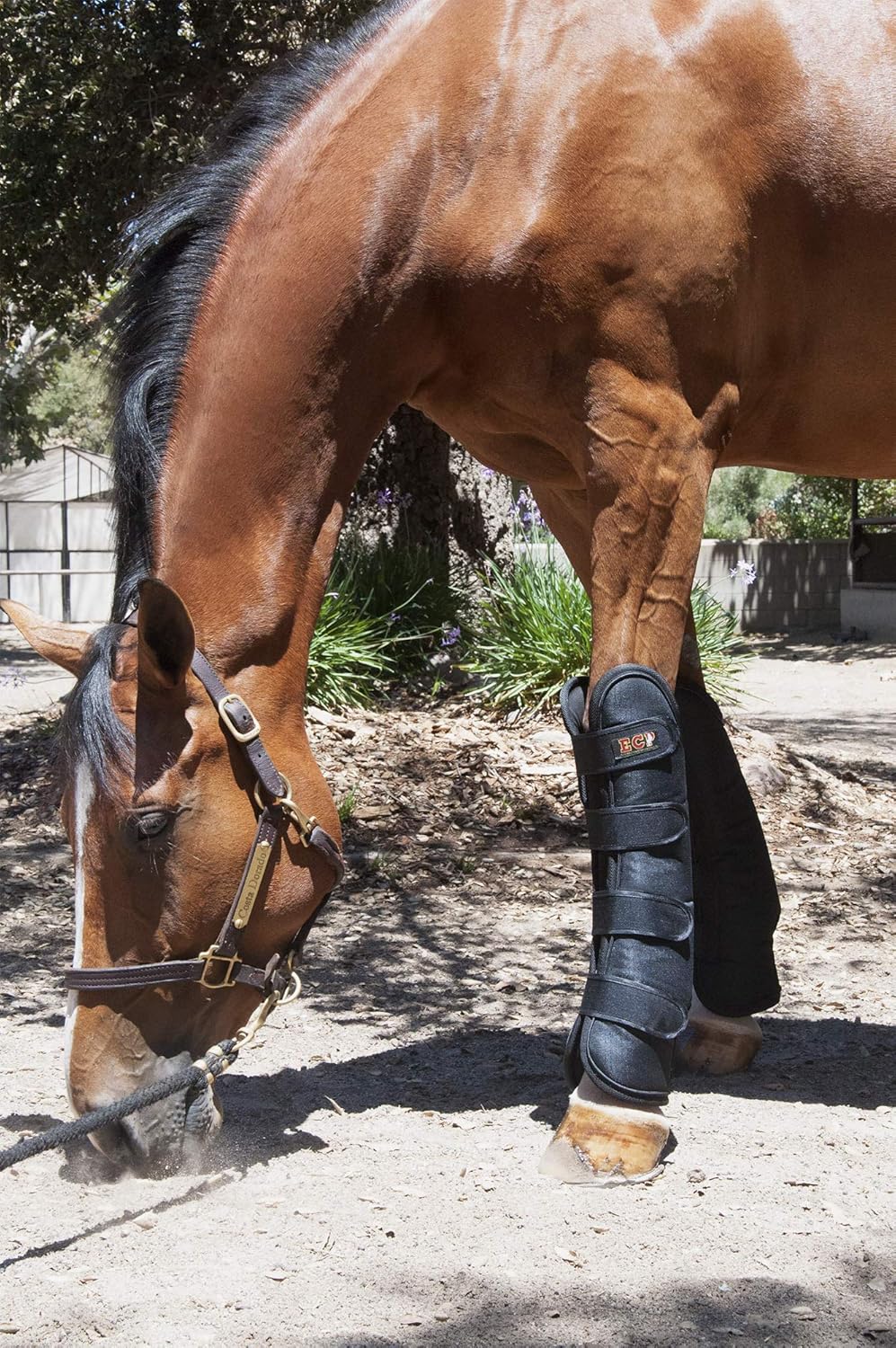 ECP Equine Comfort Products Far Infrared Heat Therapy Horse Front Leg Wraps - Medium : Pet Supplies