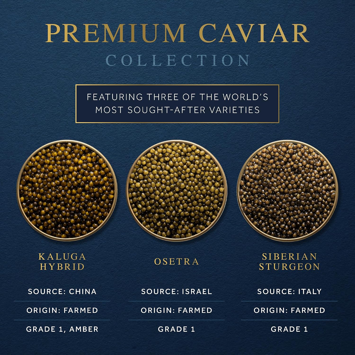 MG Caviar Food Trio Bundle - Priority Overnight Shipping of Gourmet Grade 1 Kaluga, Osetra & Siberian Sturgeon Caviar - Malossol Premium Buttery Fish Eggs – 4-6 Week Shelf Life – 28g (1 oz)