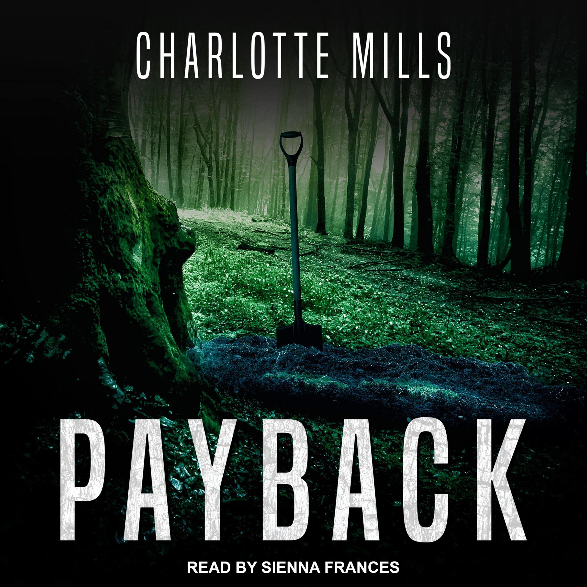 Cover art for Payback