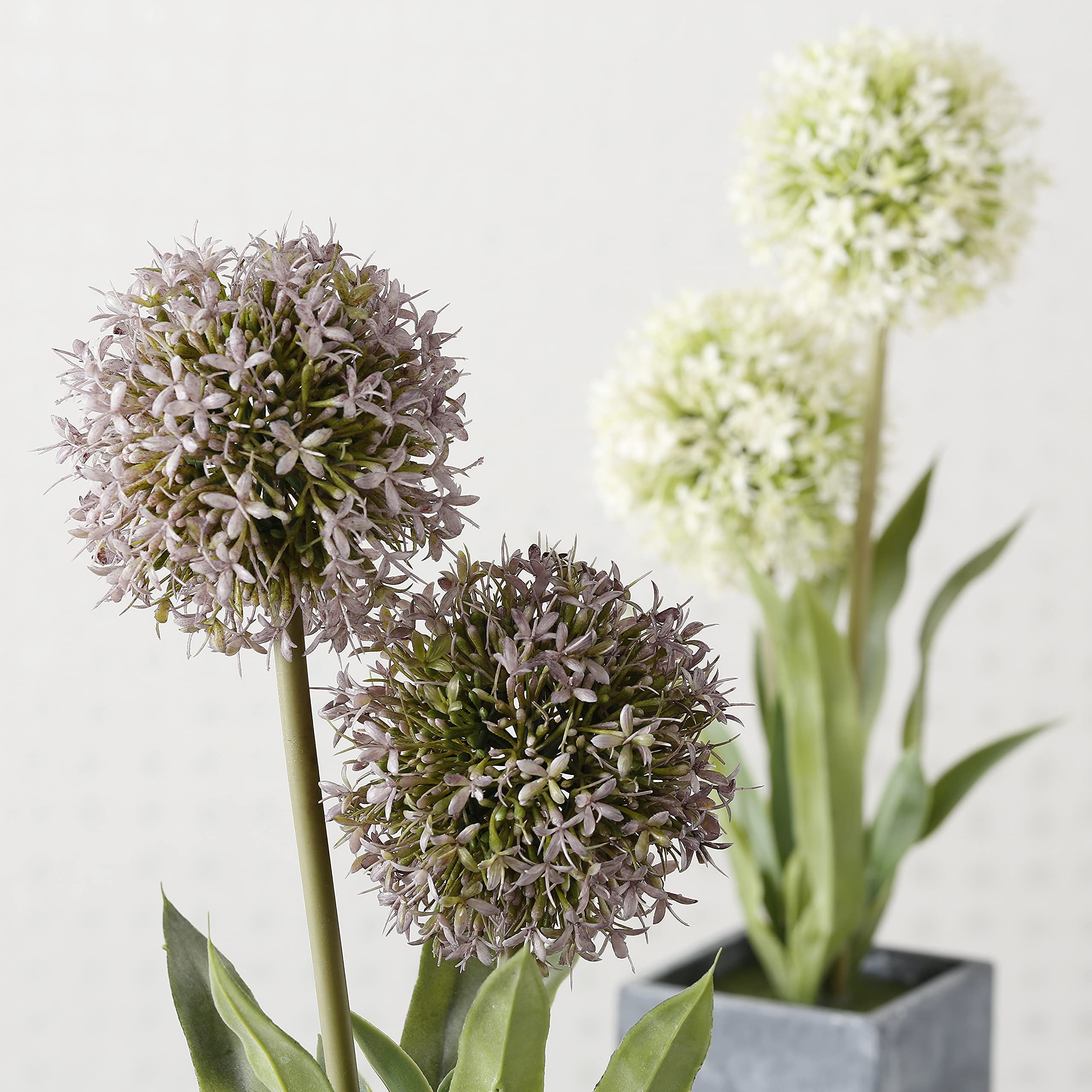 Amazon.de: Realistische Allium-Topfpflanze, blassviolette Globus-Blumen,  grauer Wrfelbehlter, grne Stiele und Bltter, 45 cm hoch, Kunststoff,  moderne Heimdekoration