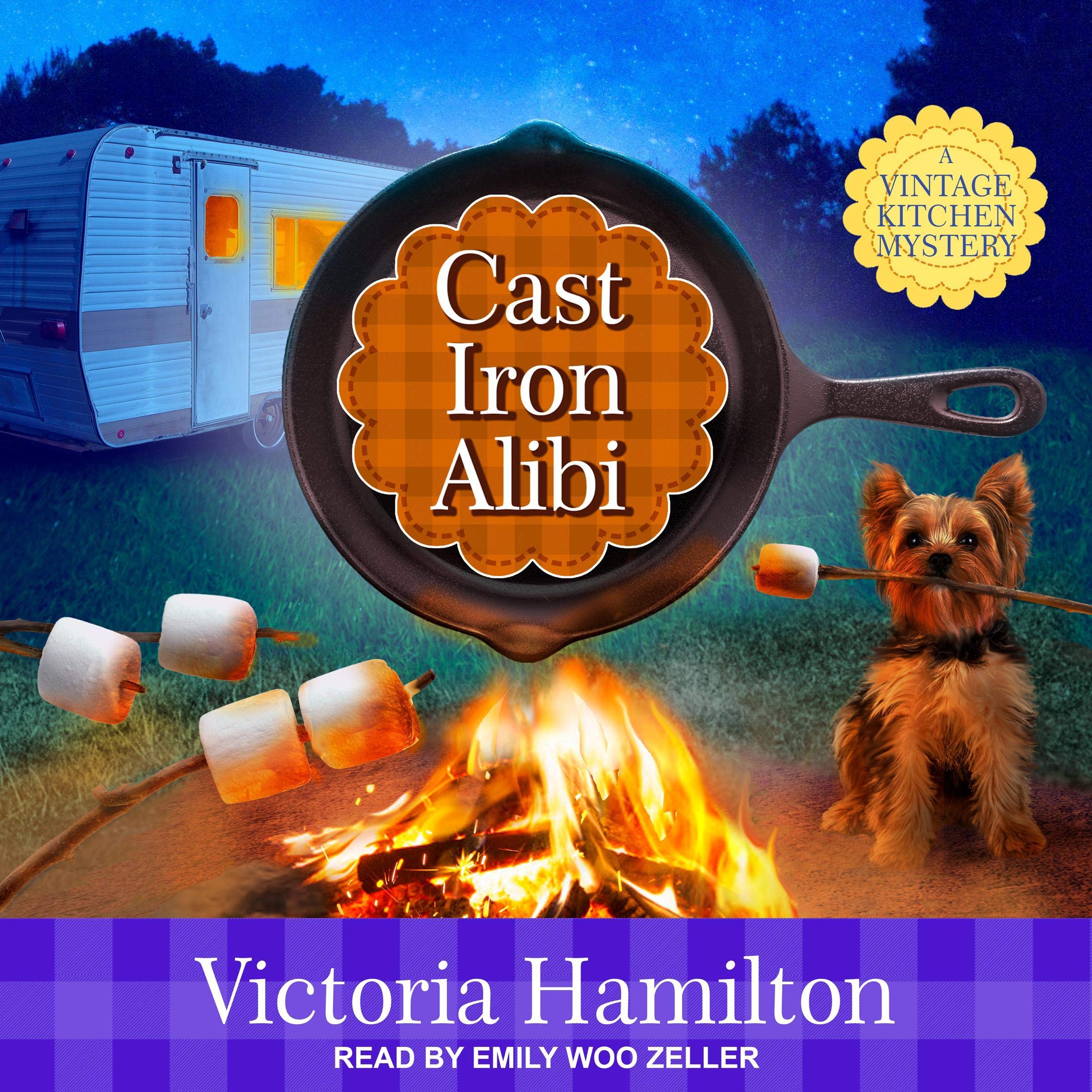 Cover art for Cast Iron Alibi