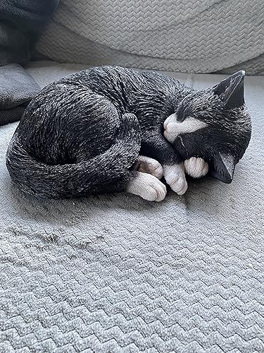 Miniatura 3 de Vivid Arts Tamaño B Gato durmiendo Real Life - NegroBlanco