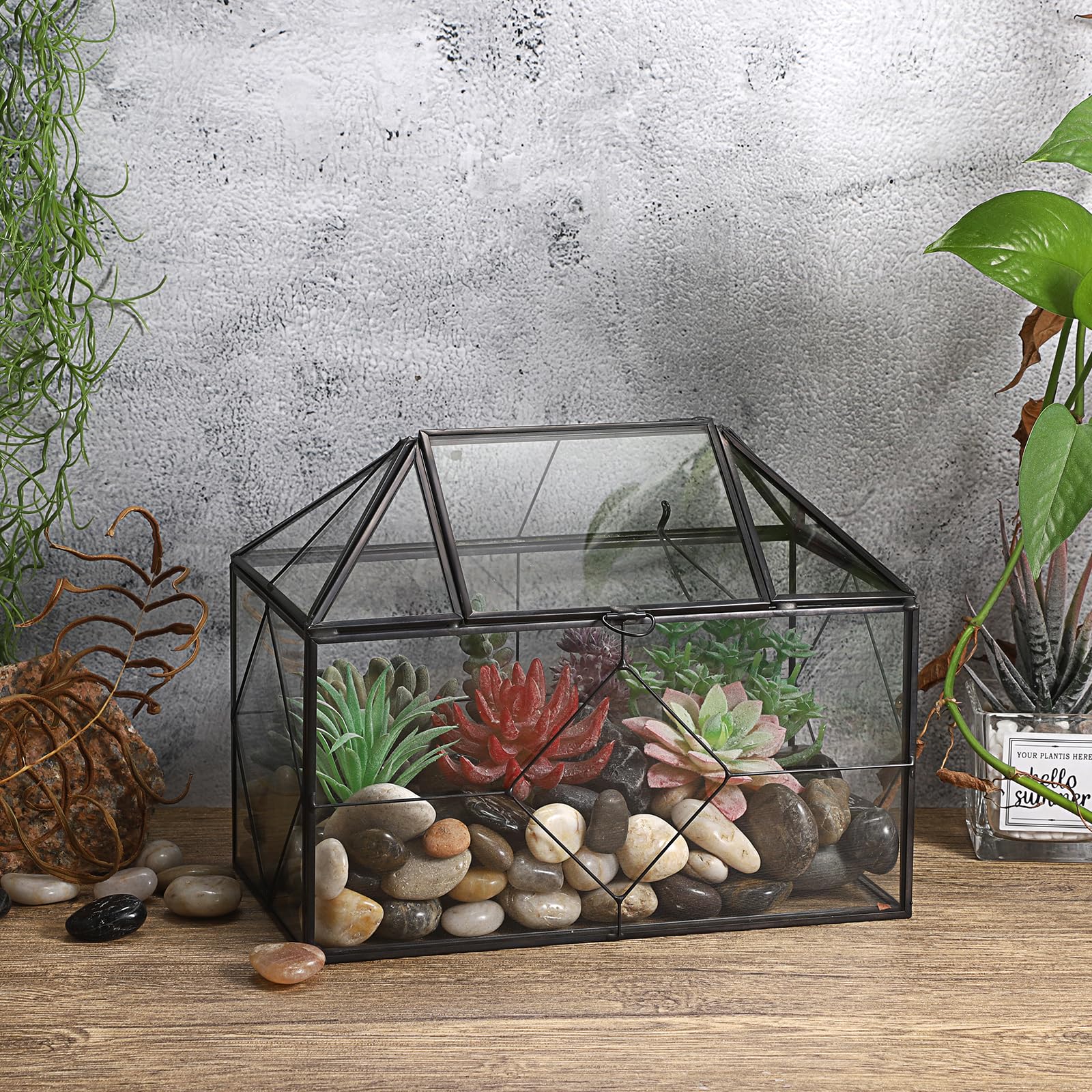 SUMTree Terrario de cristal negro para plantas con rejilla cuadrada, contenedor de musgo de jardín con tapa oscilante, caja de exhibición de plantas suculentas (rejilla cuadrada)
