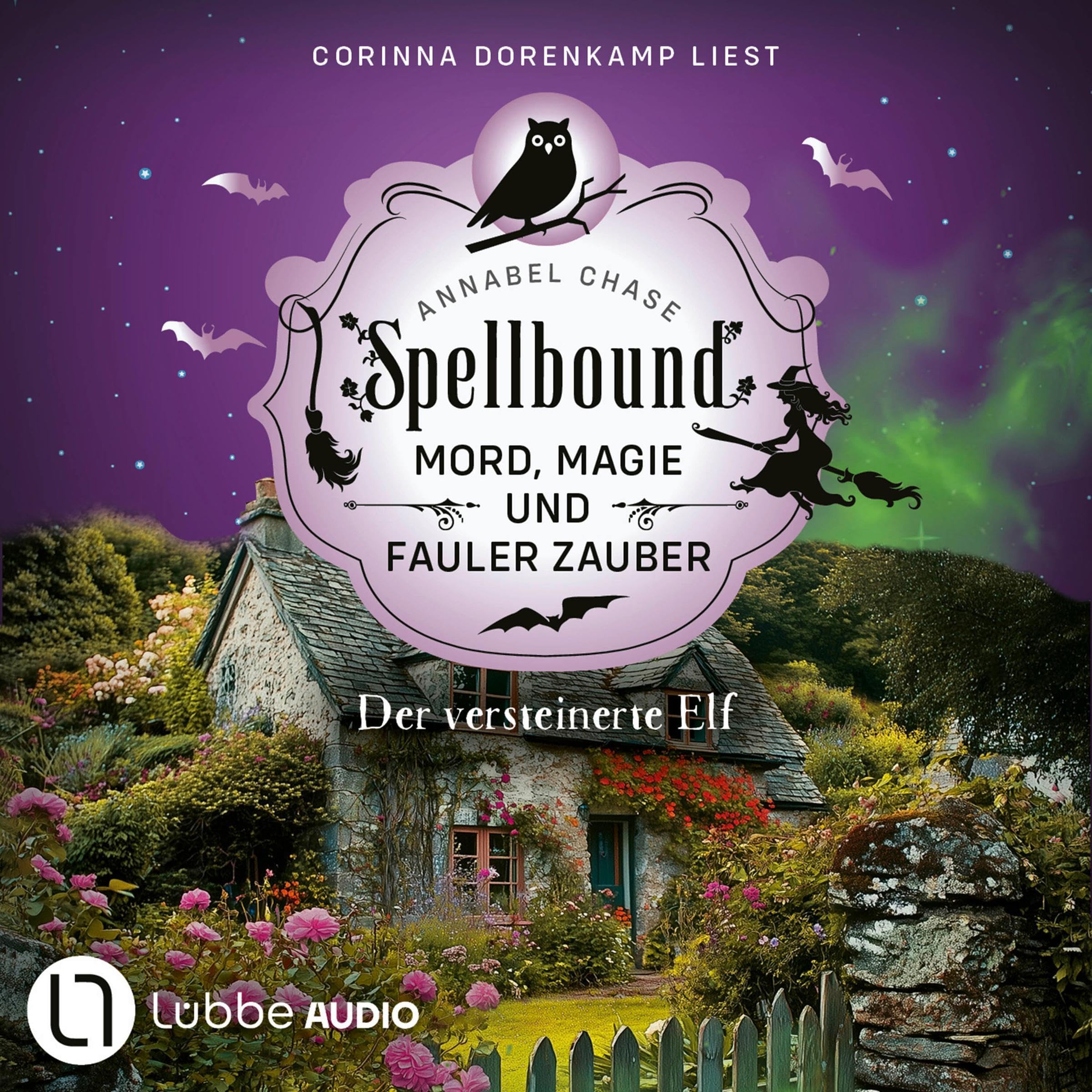 Cover art for Der versteinerte Elf