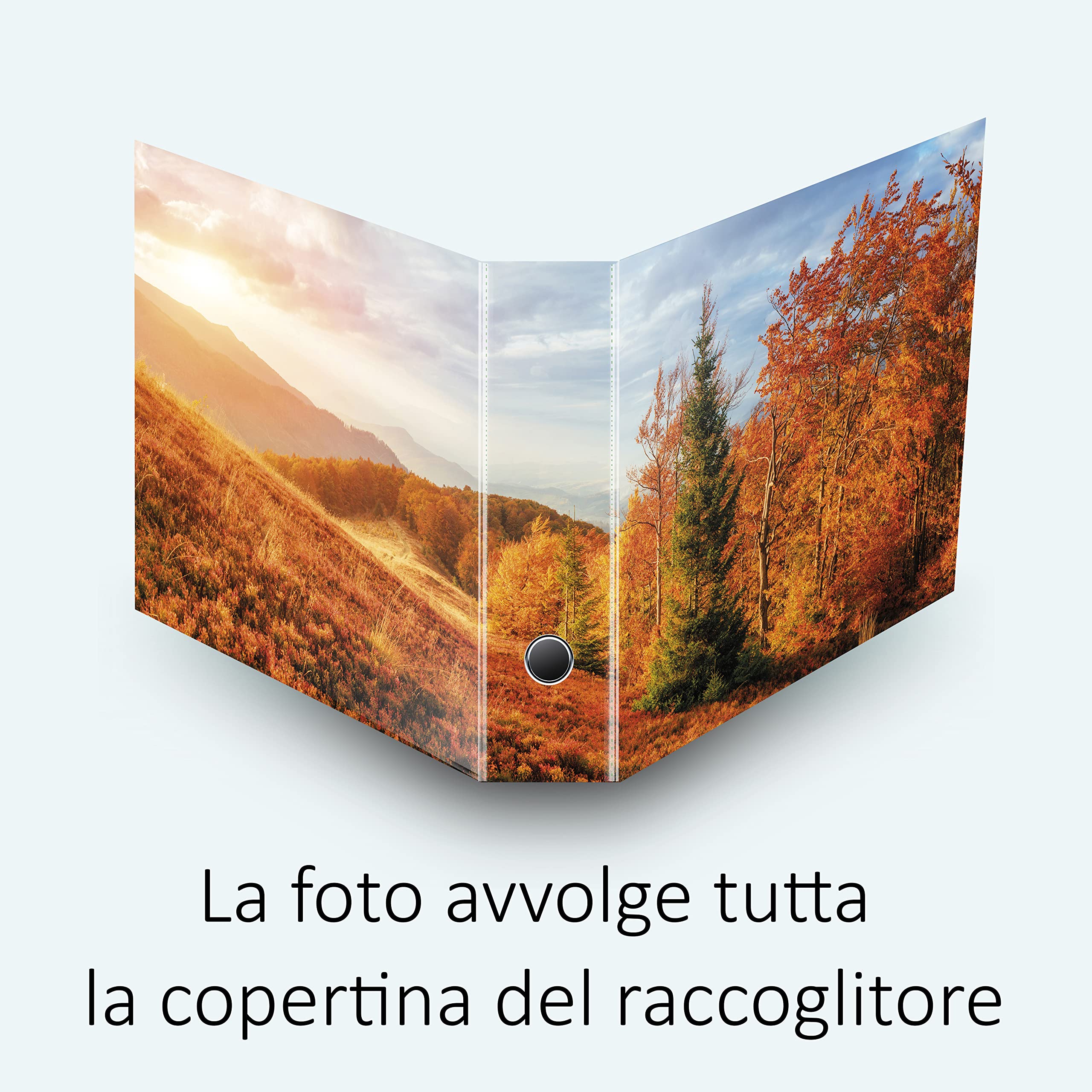 Set da 5 raccoglitori ad anelli - AUTUNNO (H34 cm con 4 anelli)