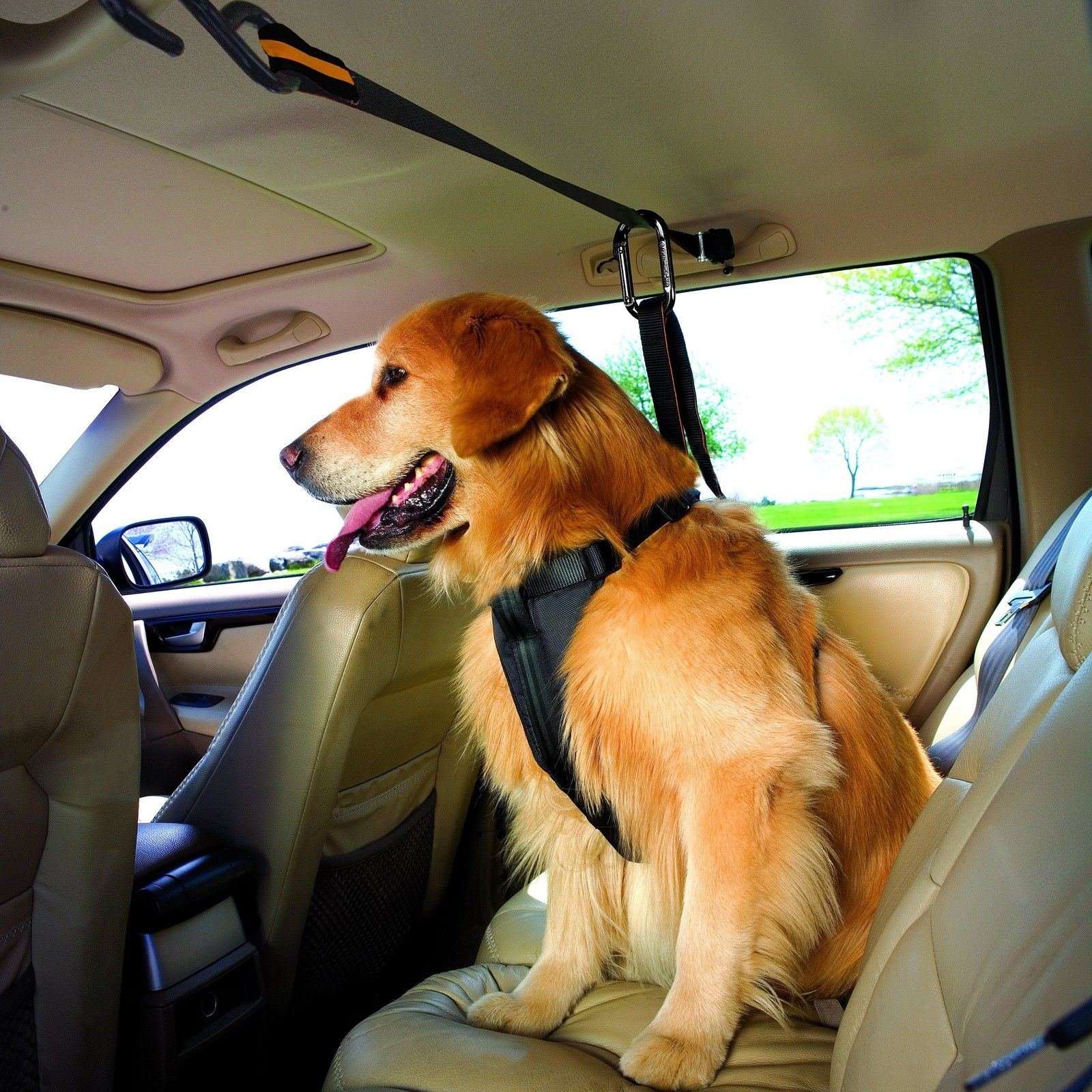 Kurgo Auto Zip Line - Backseat Zipline Harness for Car Travel - Dog Car Accessory for Safe Rides - Adjustable Pet Tether - Durable Nylon Zipline Leash Travel System - image 2