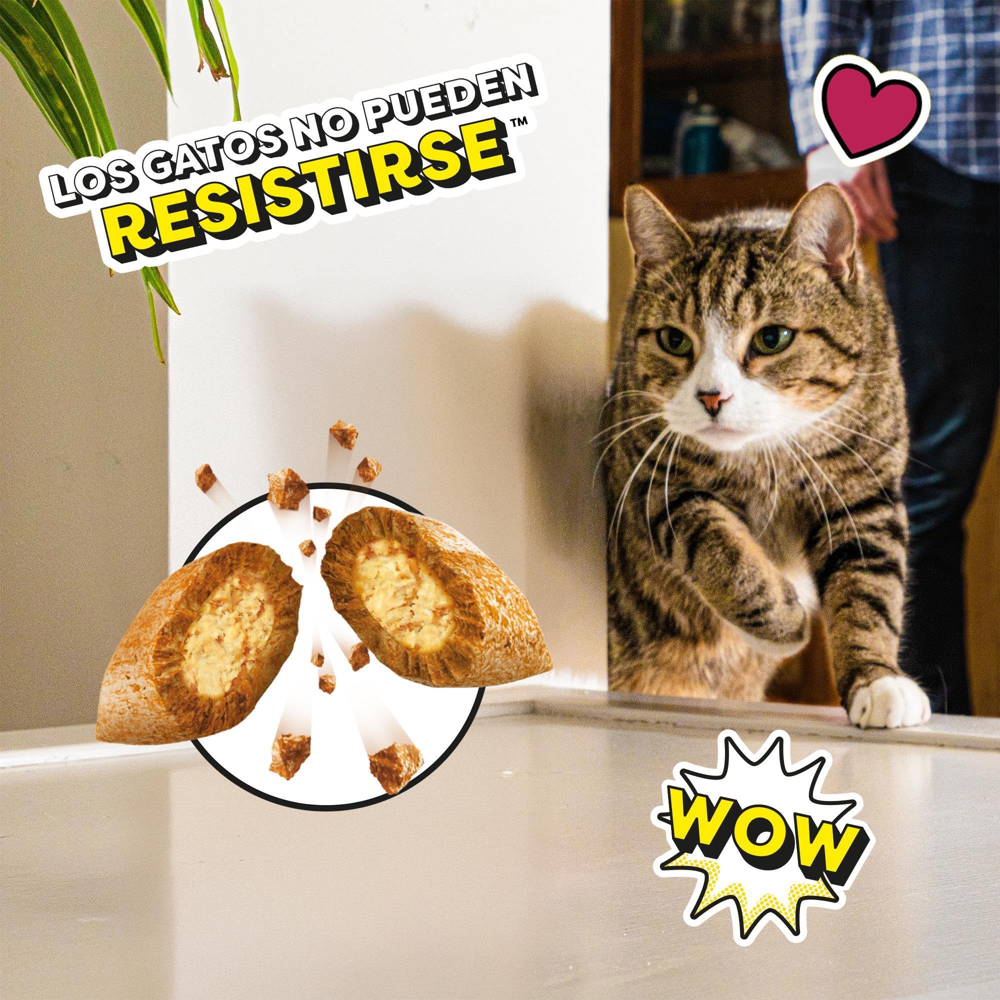 Mars Catisfactions Premios para Gatos, Sabor Salmón (Pack de 6 x 60g)