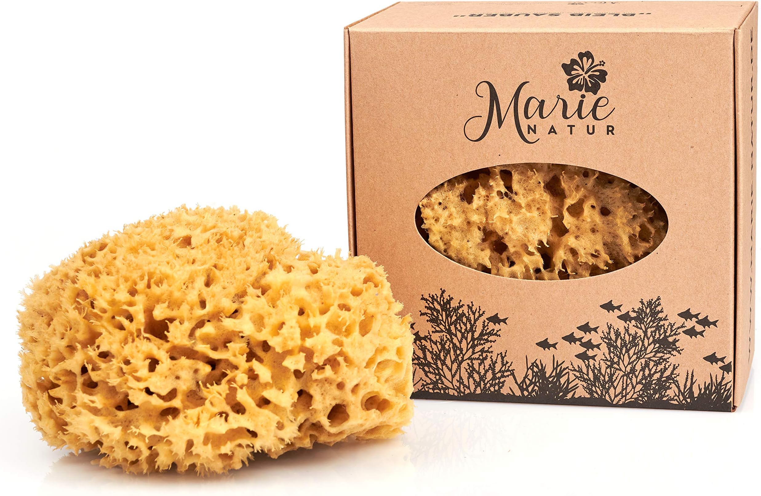 Natural sponge 16 cm - without plastic package - premium quality - natural unbleached - from the Mediterranean Sea