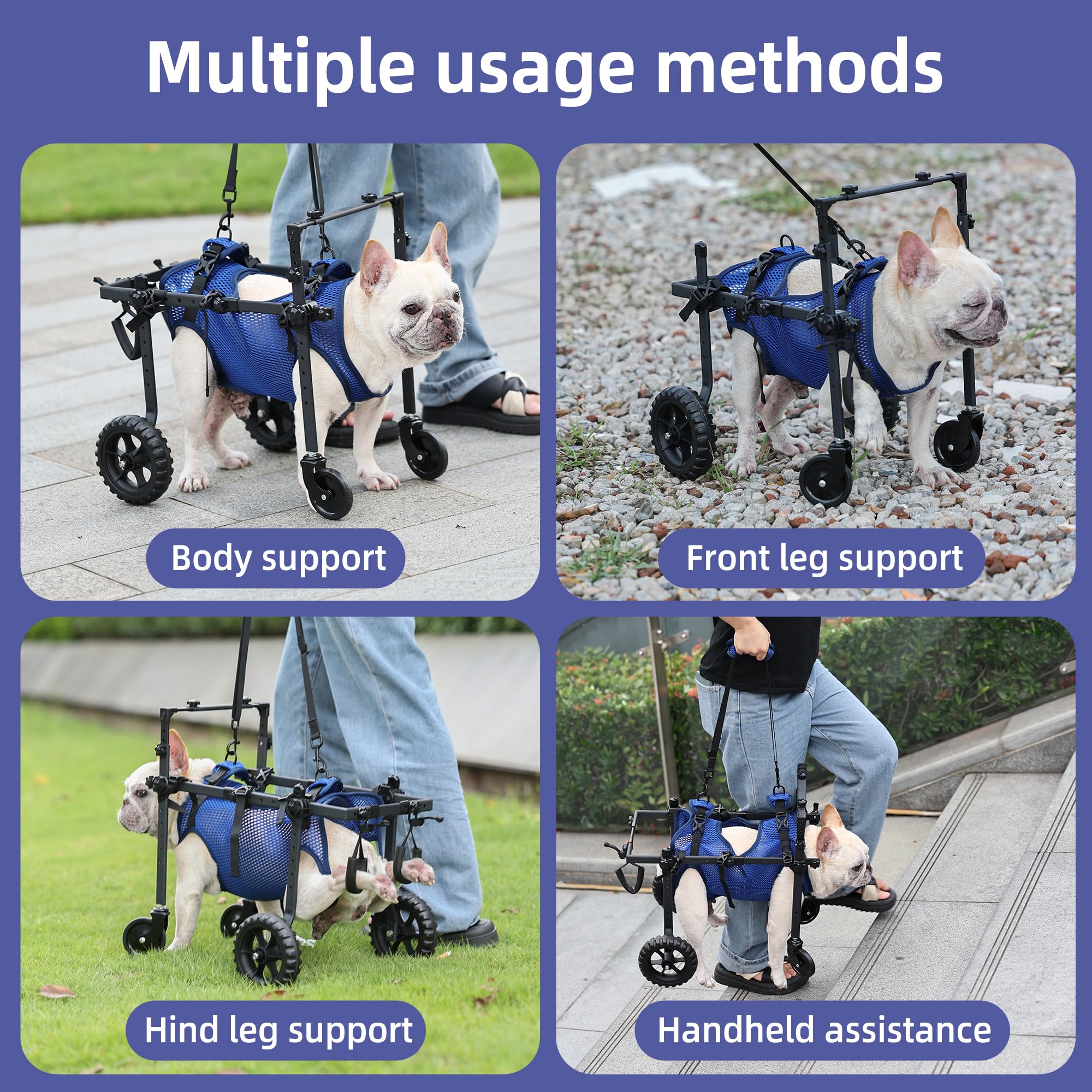 Sedia a rotelle a 4 Ruote per Cani disabili e Anziani, Regolabile, per la Mobilità degli Animali Domestici, con Maniglia, Carrello per Sedia a rotelle per Riabilitazione Posteriore/Gambe (S)
