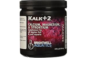 The Ultimate Saltwater Aquarium Essential: Brightwell Aquatics Kalk+2 Kalkwasser Reactor
