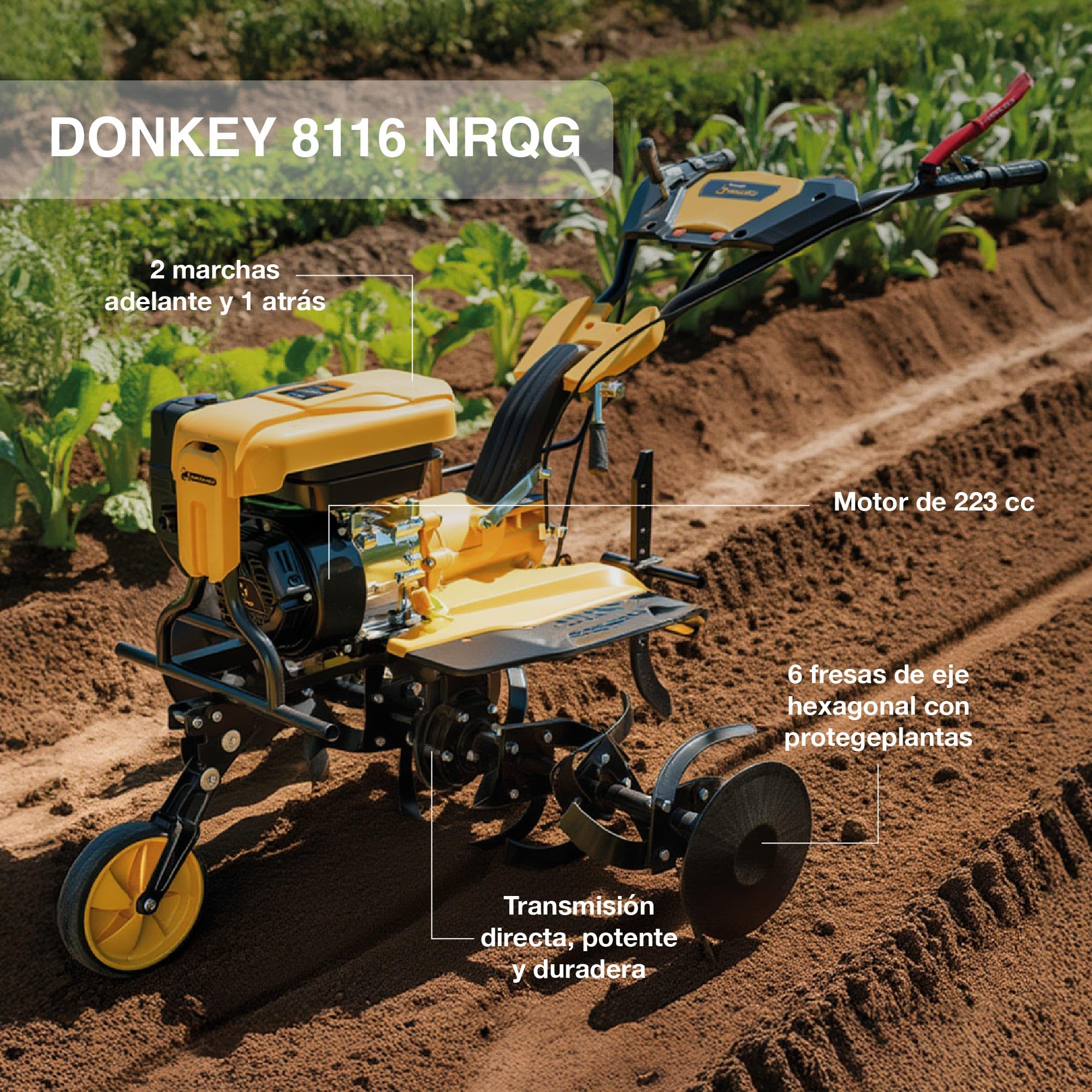 GARLAND Donkey 8116 NRQG-V24 - Motoazada Gasolina 4T 225cc, 116 cm Ancho de Trabajo, transmisión Directa, 6 Fresas con Eje Hexagonal, Discos protegeplantas, labranza Profesional.