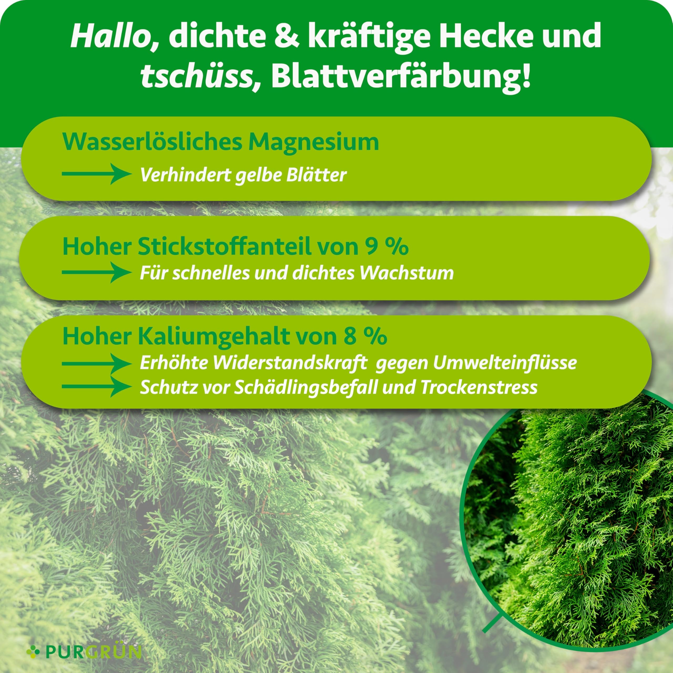 Thuja-Smaragd-Dünger 1 kg – Extra Magnesium schützt vor Nadelverfärbungen – Fördert ein dichtes Wachstum – Tonmineralien für einen gesunden Boden – Heckendünger für ca. 30 Pflanzen