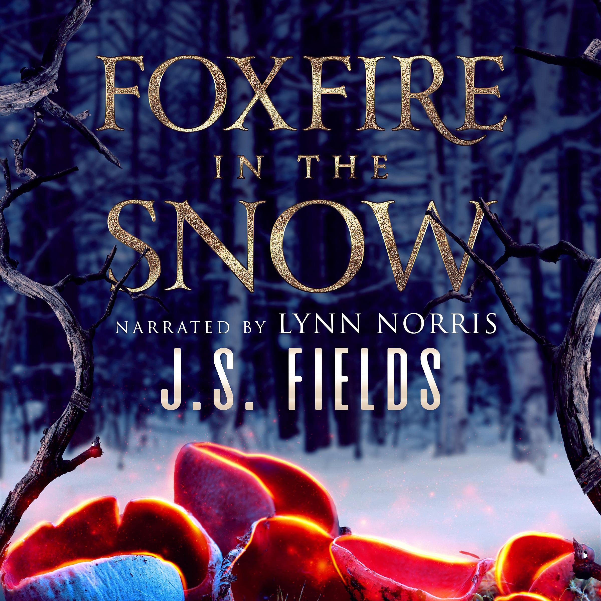 Cover art for Foxfire in the Snow