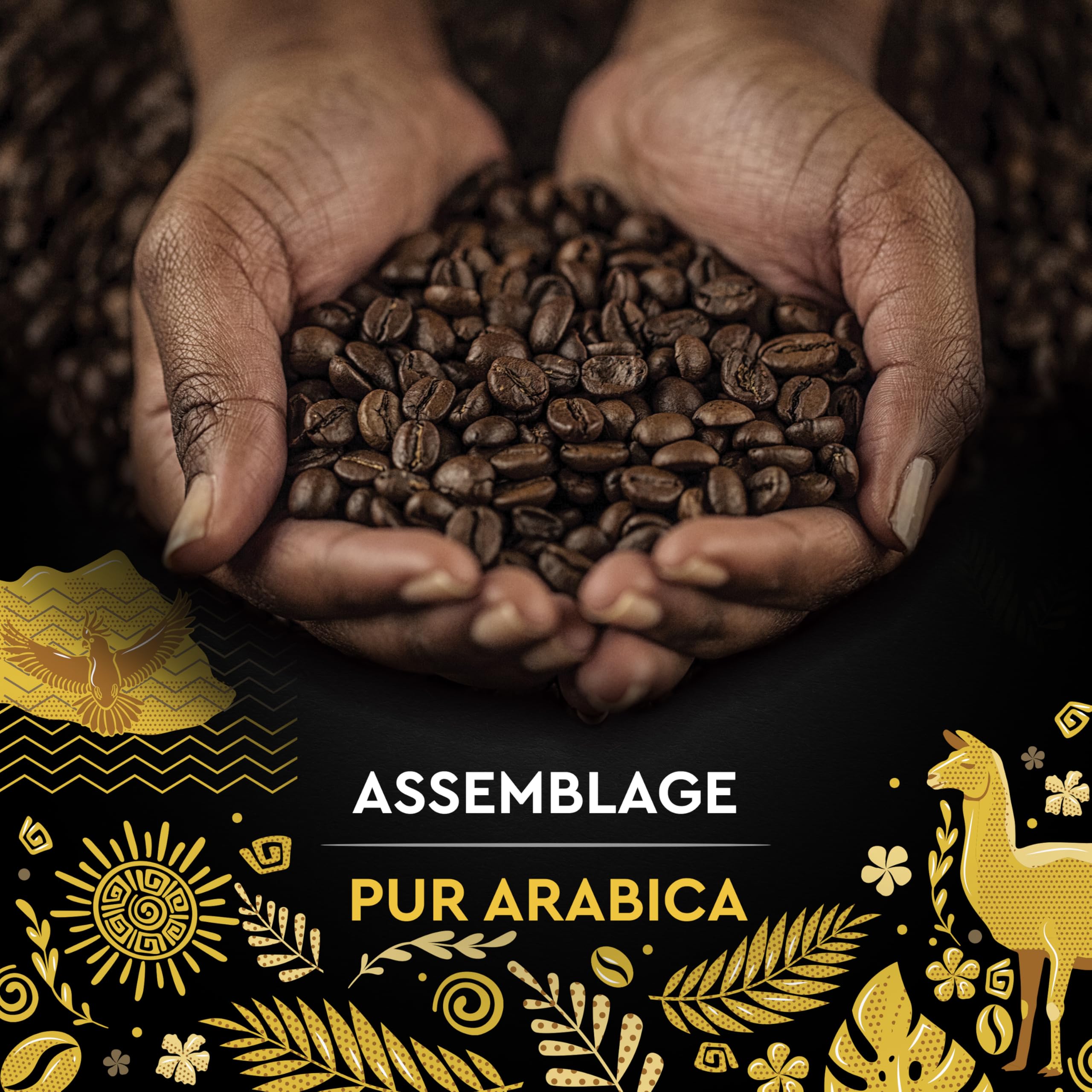 CZARNA KARTA - Kawa ziarnista "Wybór Peru" - Organiczna 100% Arabica - Opakowanie 500 g - Wyprodukowano we Francji