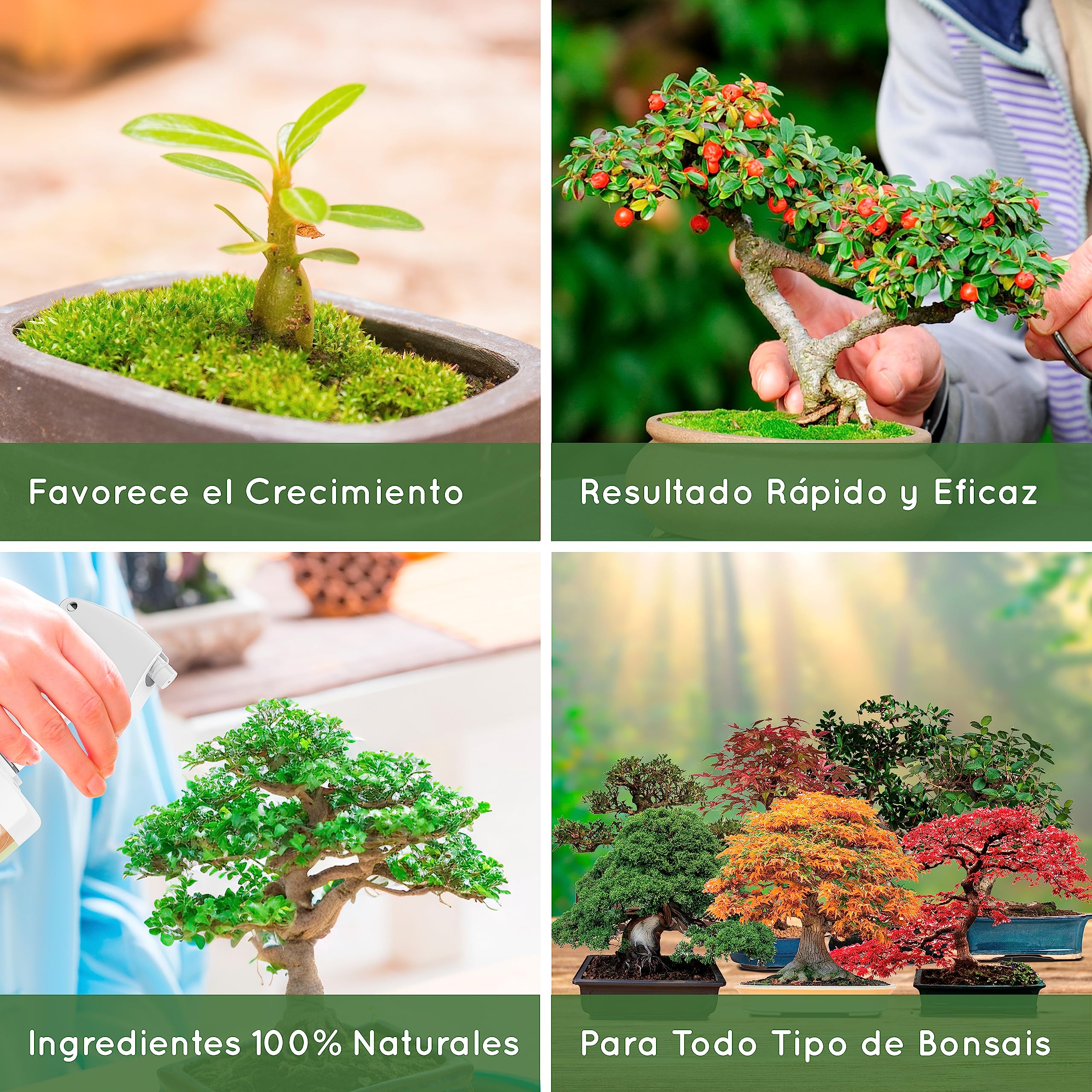 1L Abono Líquido Orgánico para Bonsais - Mejora la Salud, Fuerza del Bonsai y Fertilidad del la Tierra - 100% Natural Fabricado en España - Spray Listo Para Usar
