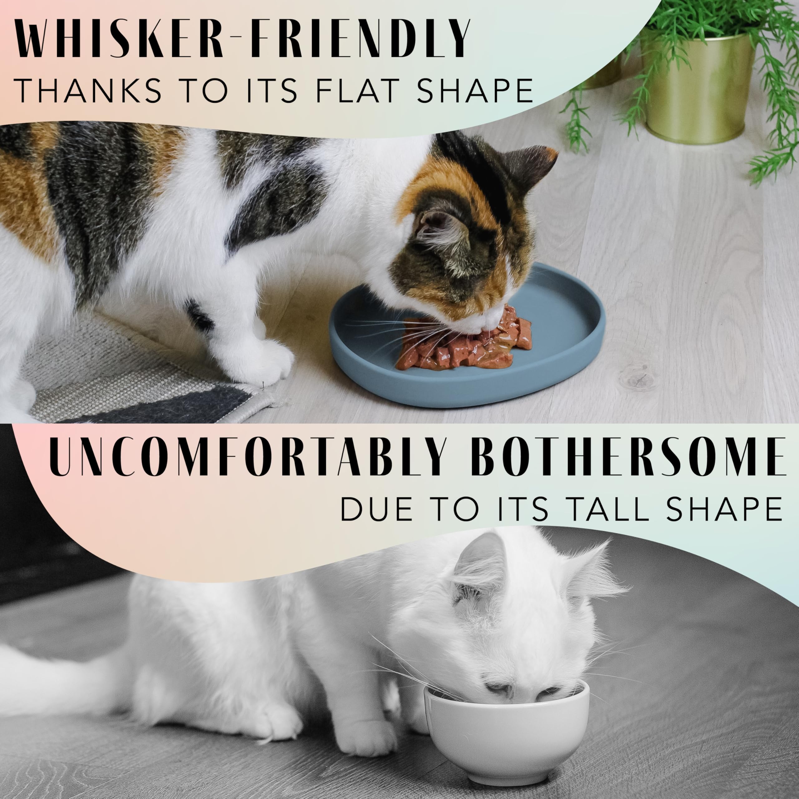 View 3