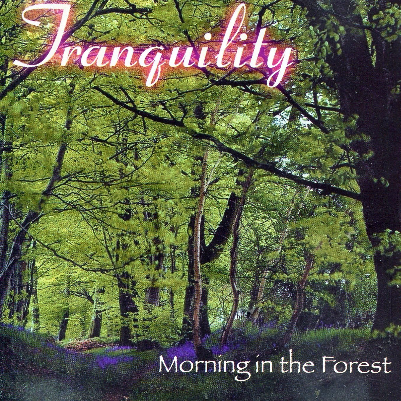 Morning in the Forest [Audio CD] Various Artists