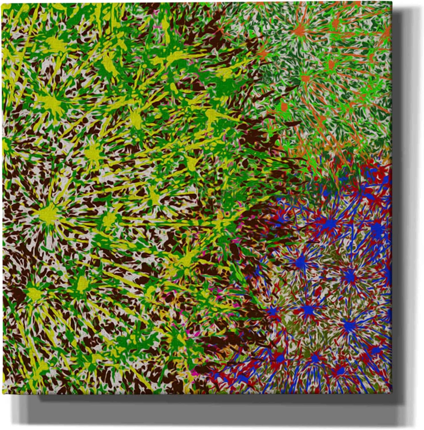 Epic Graffiti 'Profusion II' by James Burghardt, Canvas Wall Art, 12"x12"