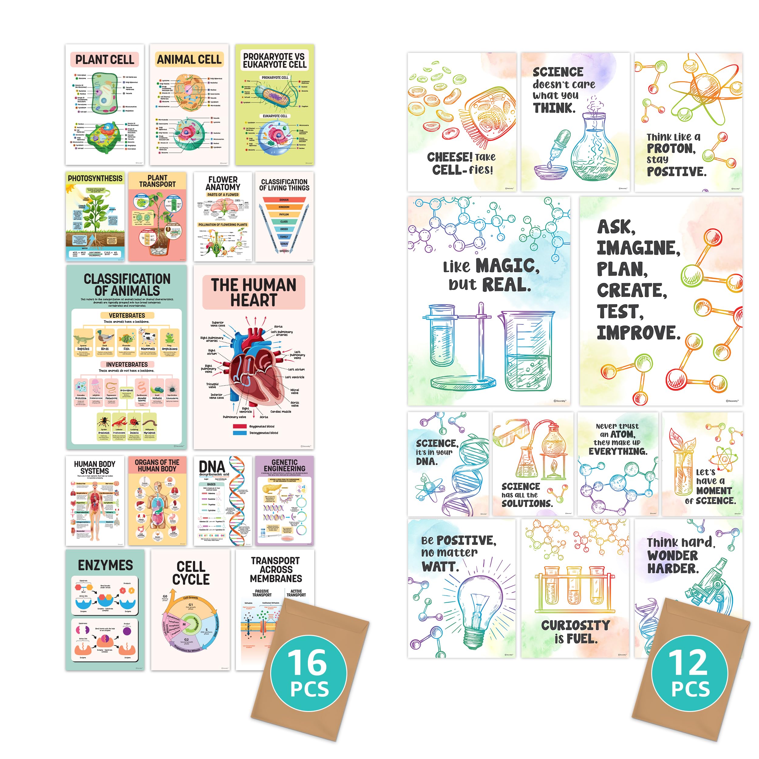 Decorably Science Biology Posters and Science Apparatus Posters for Classroom