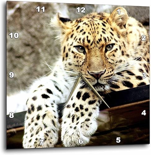 Miniatura 1 de 3dRose DPP_218720_1 Leopard. Reloj de pared con imagen popular, 10.0 x 10.0 in