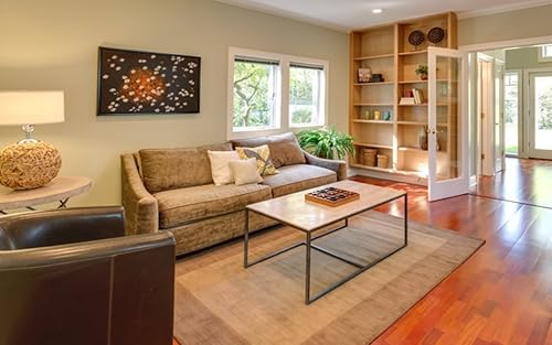 Living Room Design Ideas