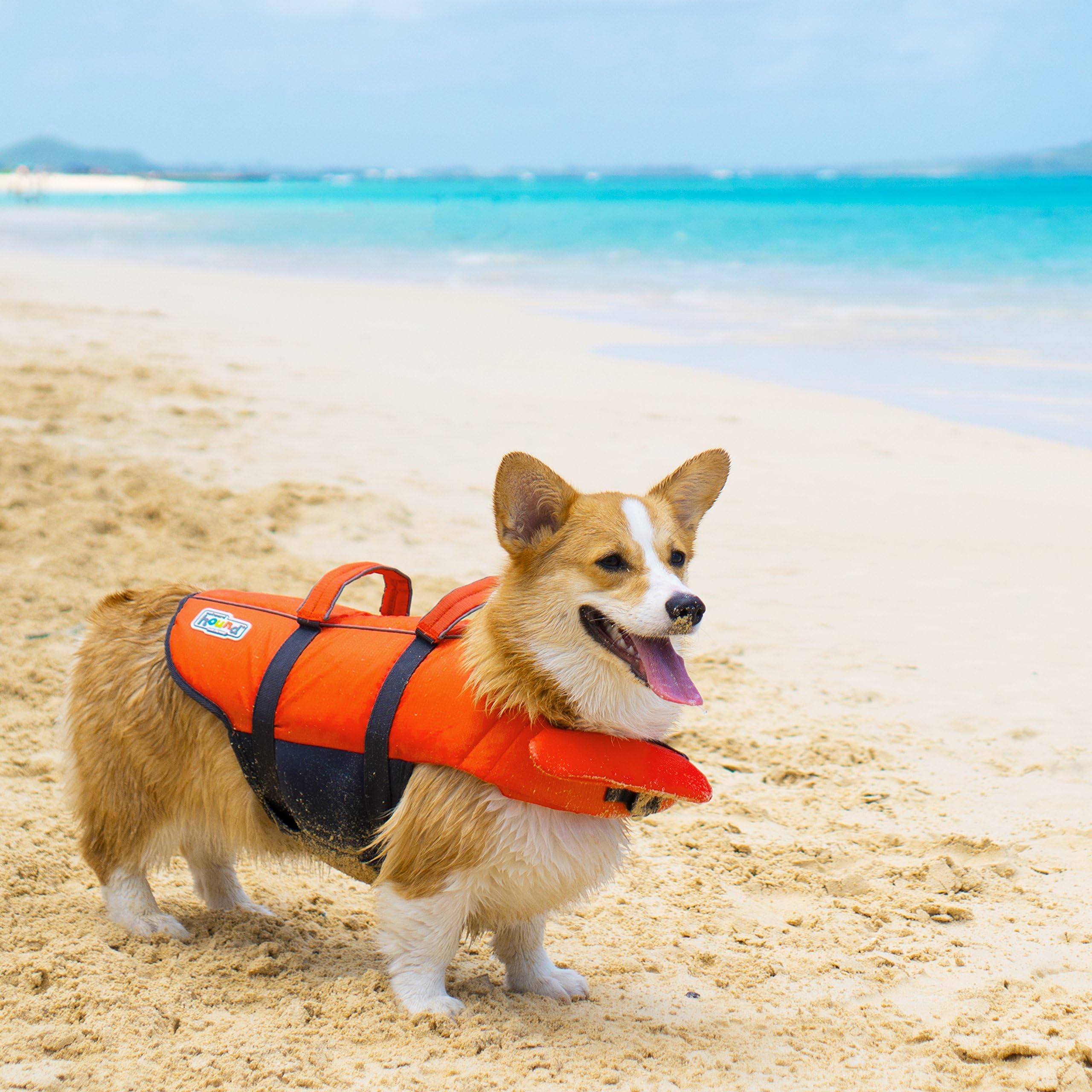 Outward Hound Gilet de sauvetage pour chien Granby Splash - orange - S