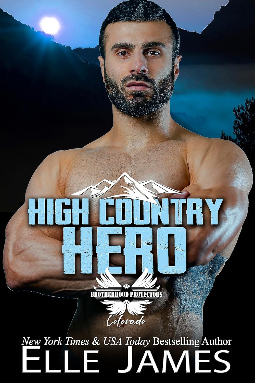 High Country Hero (Brotherhood Protectors Colorado Book 12) - Kindle ...