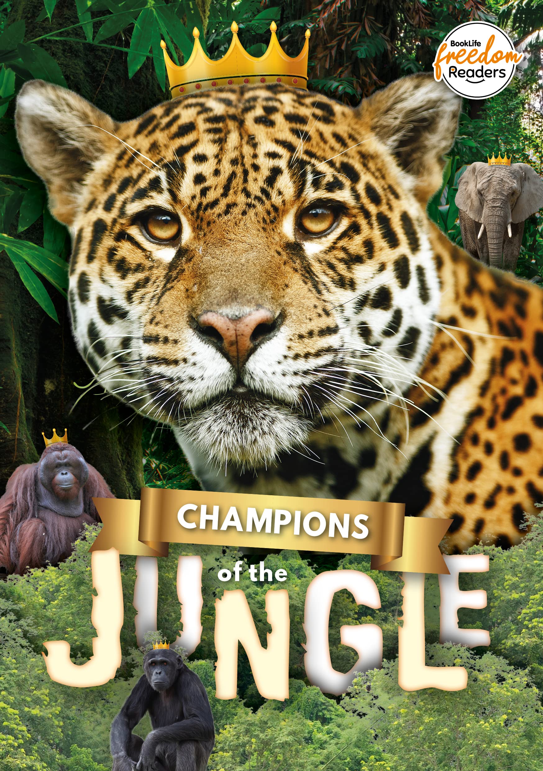 Champions of the Jungle (BookLife Freedom Readers)