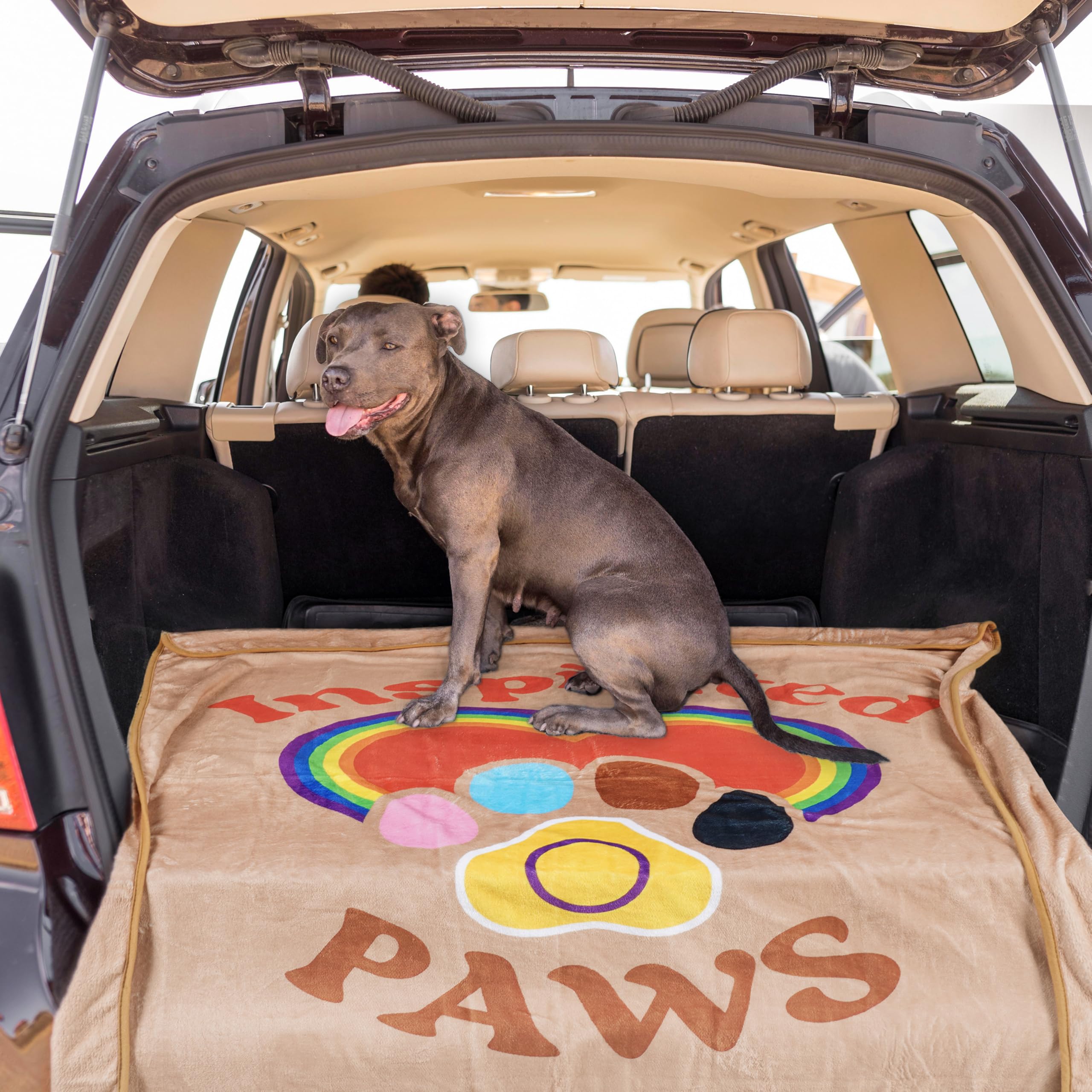 Extra large LGBTQ+ Rainbow inspired dog blanket - 150x120cm soft fluffy Washable Dog Blanket or Throw for Sofa Bed, Car or Outside use - Image 2