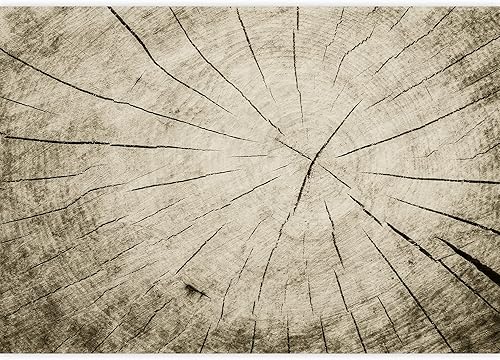 Miniatura 8 de wall26 - Variación de flores coloridas de primavera - Mural de pared extraíble  Papel pintado grande autoadhesivo - 66x96 pulgadas