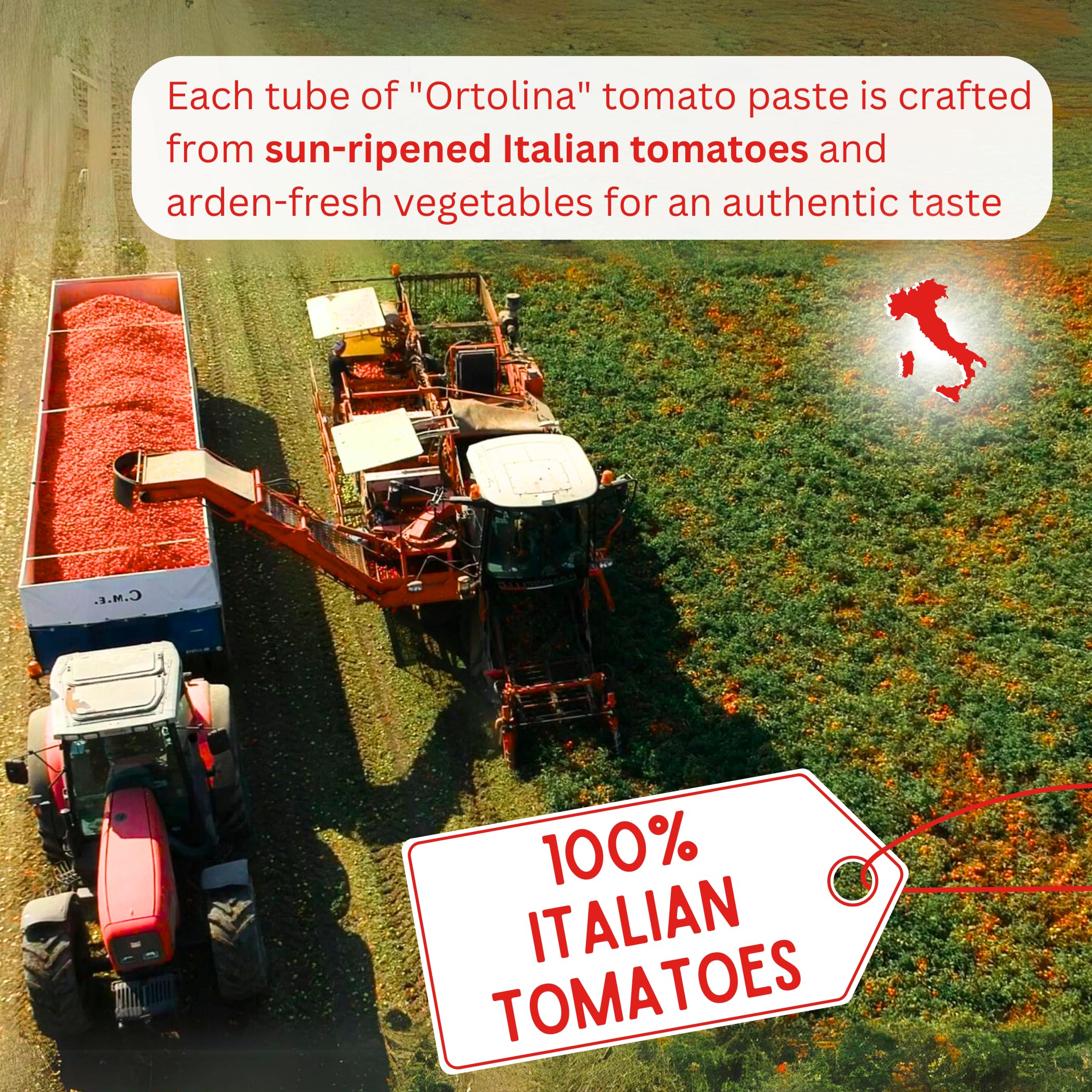 Tomato Paste Tube "Ortolina" Rodolfi Sauce, 130 gr (4.5 Oz) - Pack of 2, Authentic Italian Product with Fresh Tomatoes and Vegetables, Imported from Italy, Additive-free