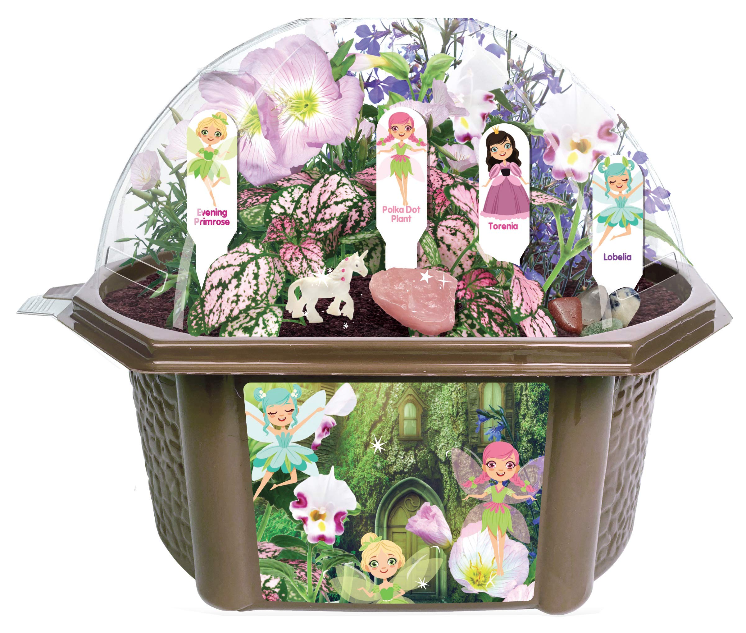 TOYS BY NATURE Fairy Garden Kit for Kids - Grow Four Different Fairy Plant Varieties in Decorative Terrarium - Includes Fairy Stones, Rose Quartz, Magical Unicorn, Seeds, Botany and Plant Information