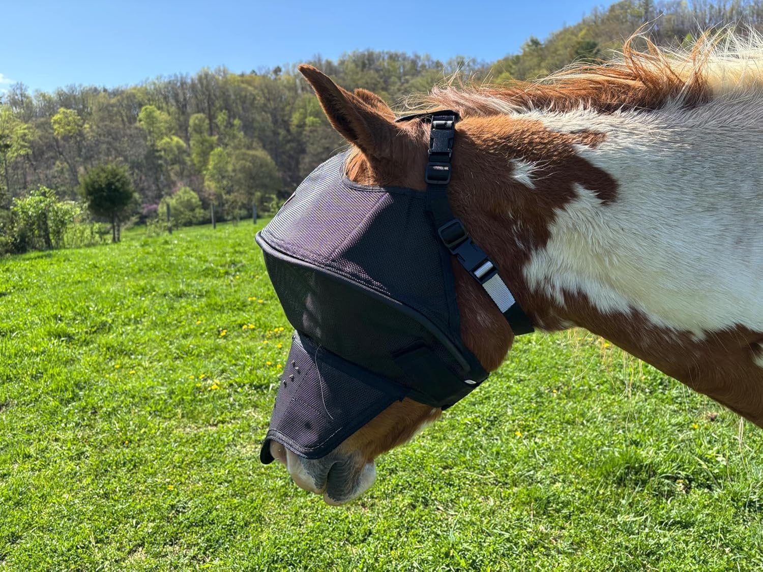 Solar Vizor Horse Fly Mask with Nose (Size Full), Innovative Design - 100% UV Eye Protection for Horses with Uveitis, Photosensitivity, Ulcer, Head Shaking, Protects from Flies, Insects, Dust, Debris.