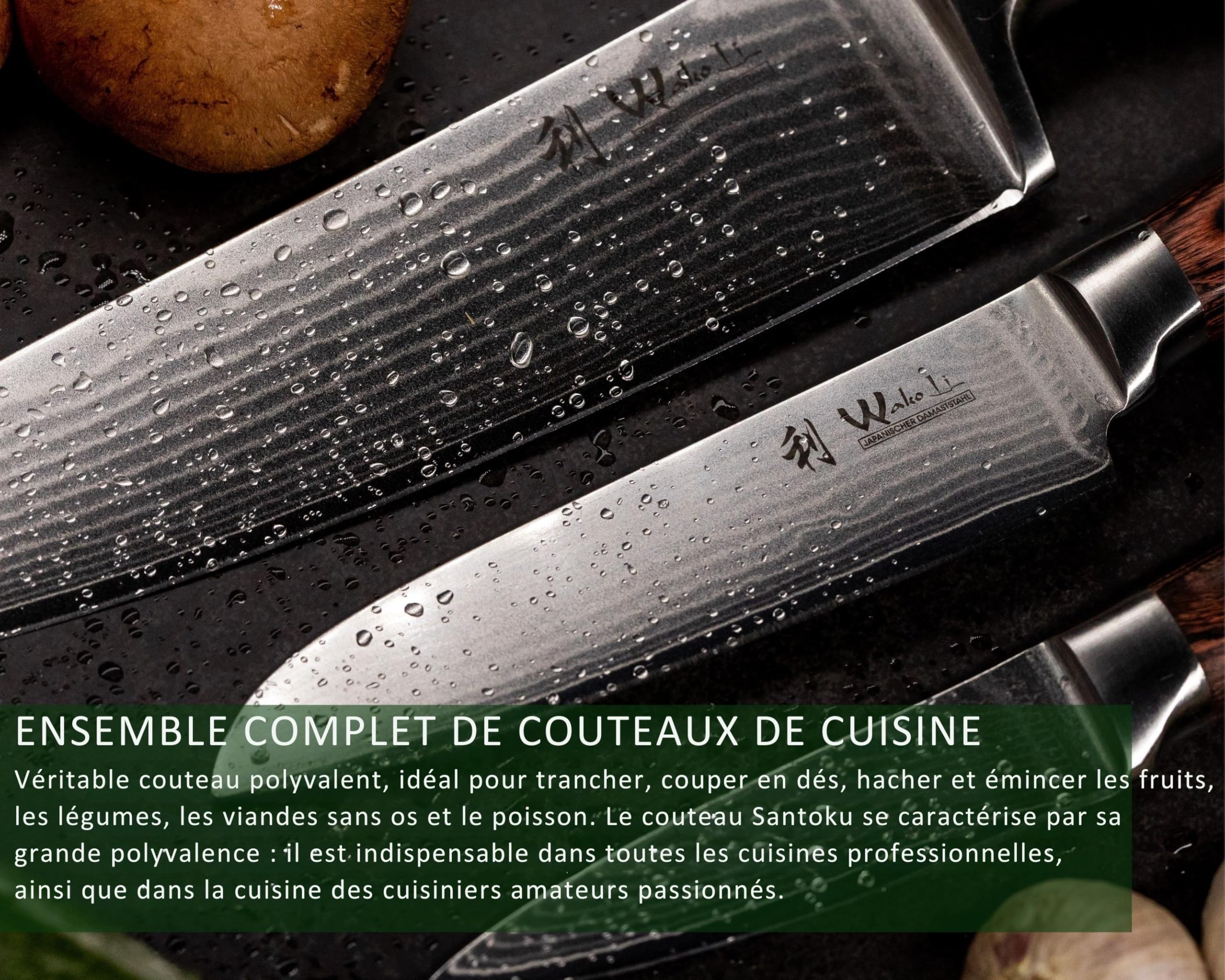 WAKOLI EDIB Set of 6 Professional Damascus Steel Kitchen Knives | With 67-layer blades, VG10 core, Pakkawood handles, left and right handed users, elegant gift box