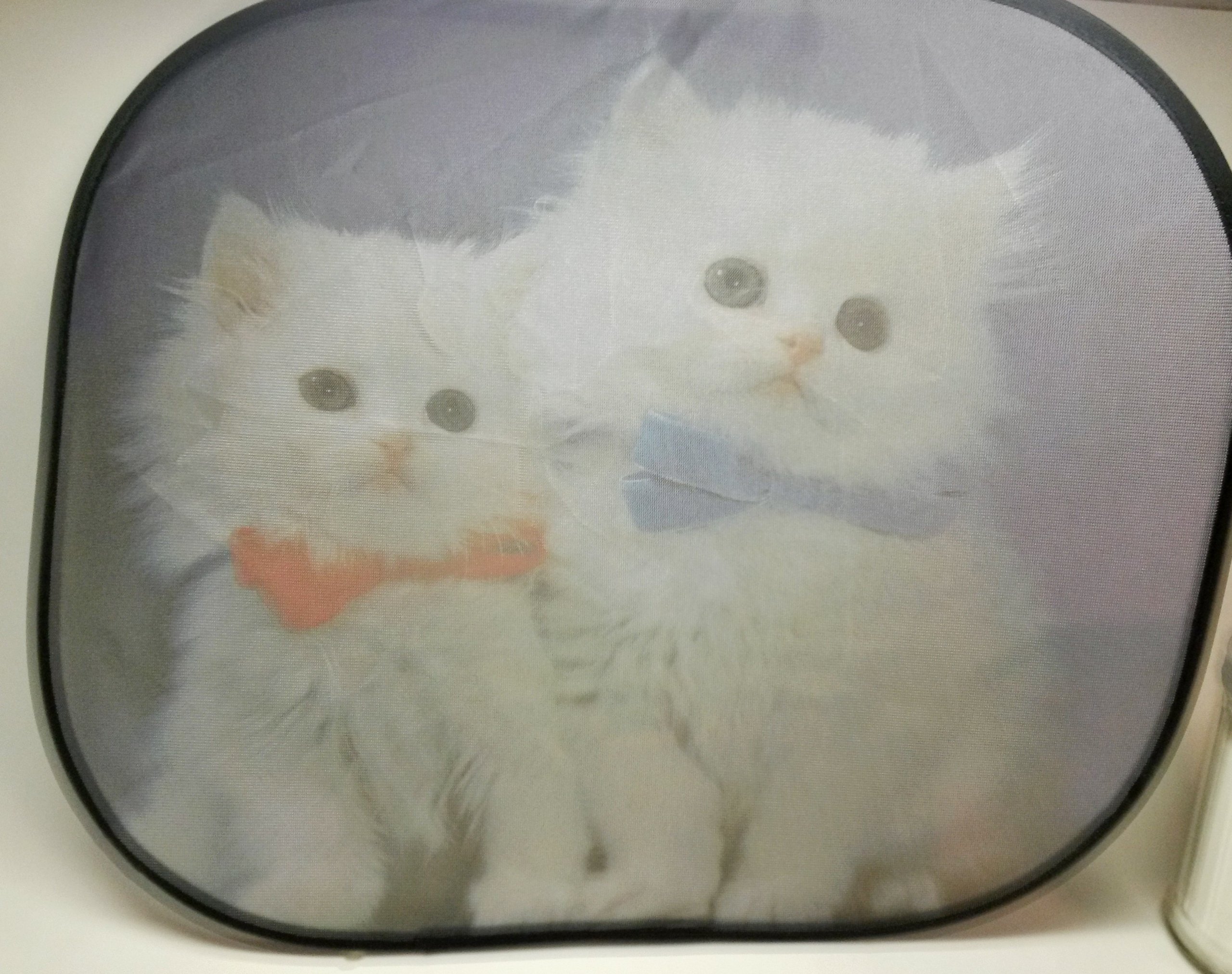 Kittens Car Window Shade