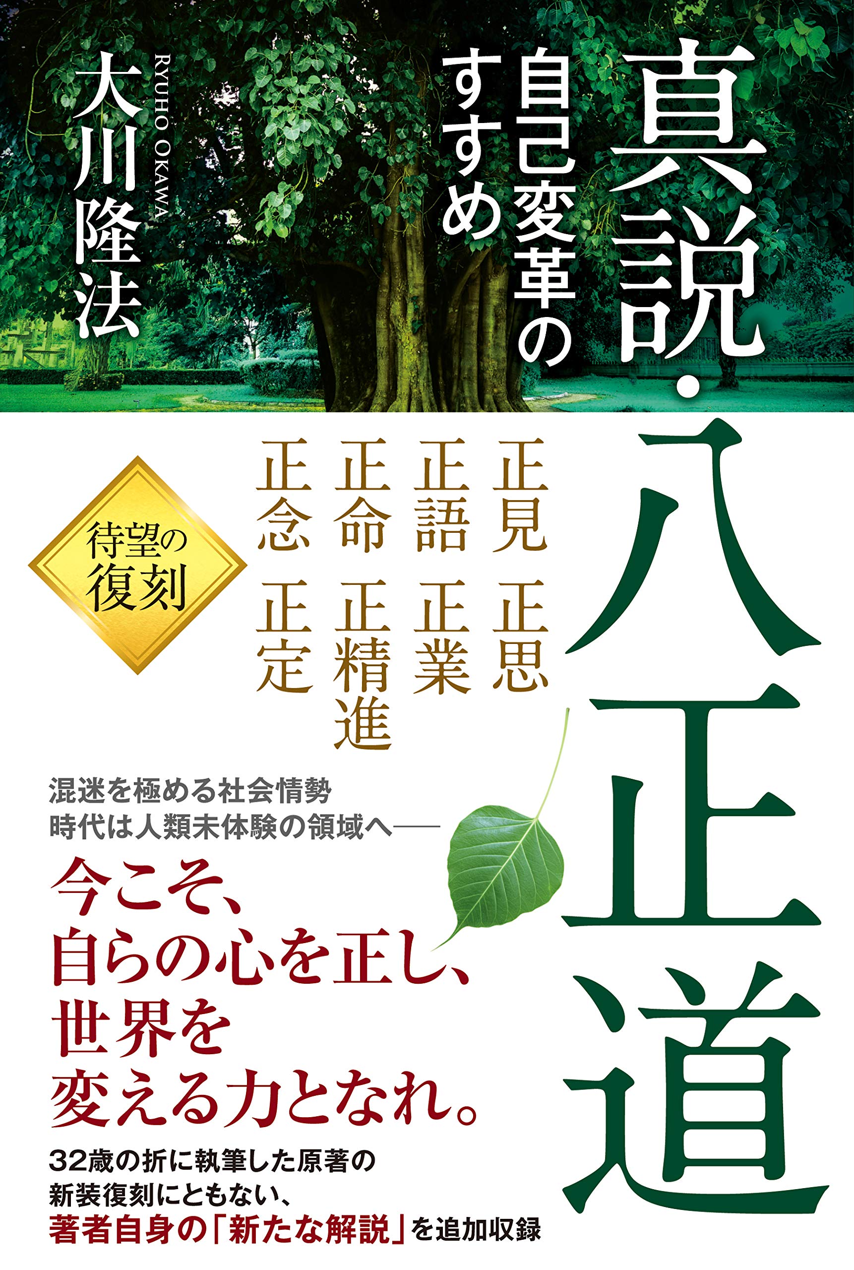 大川隆法　プロの伝道師としての心構え 81eL5UImZLL._UF350,350_QL50_.jpg